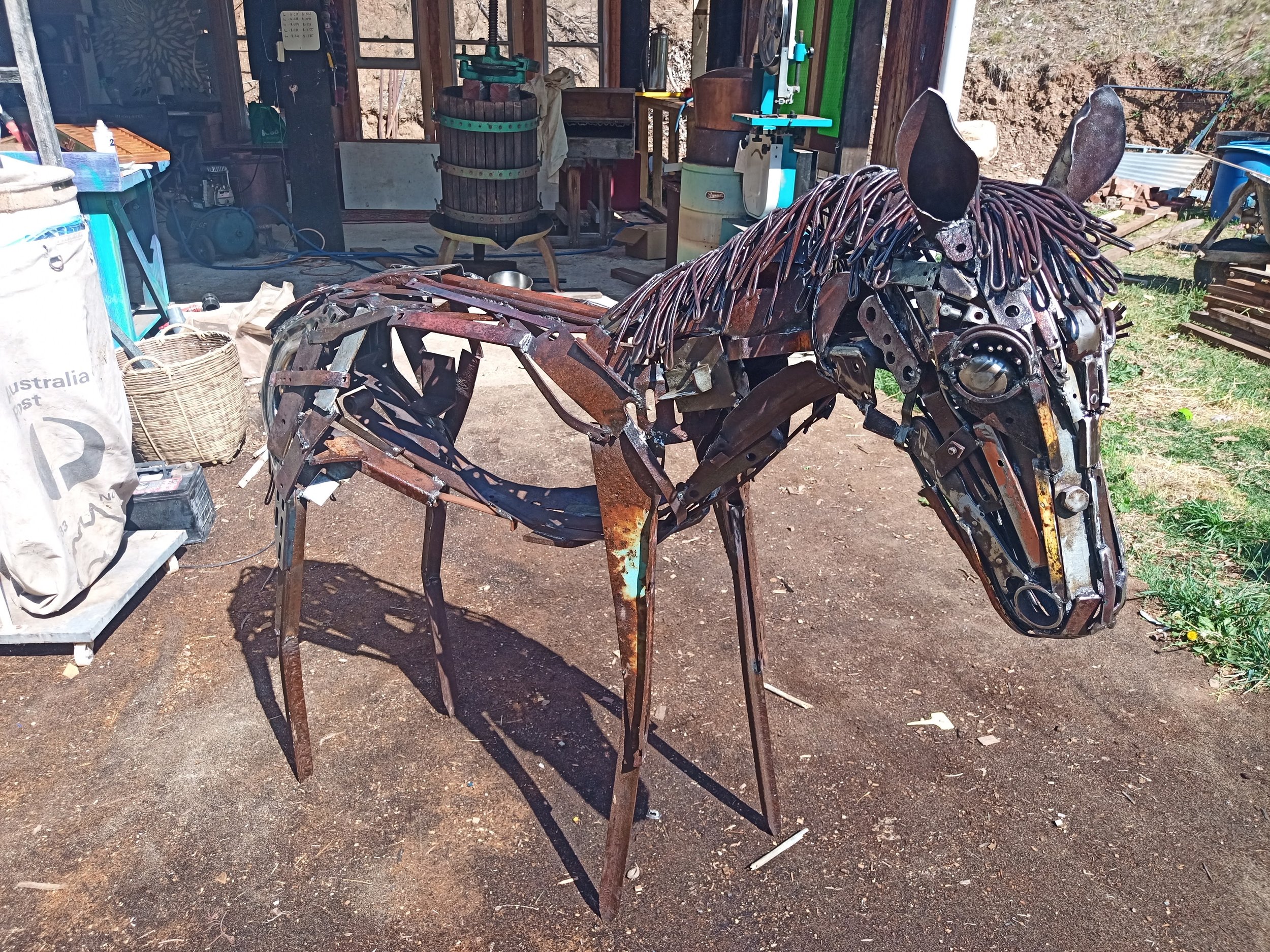 Foal by Madelaine Last