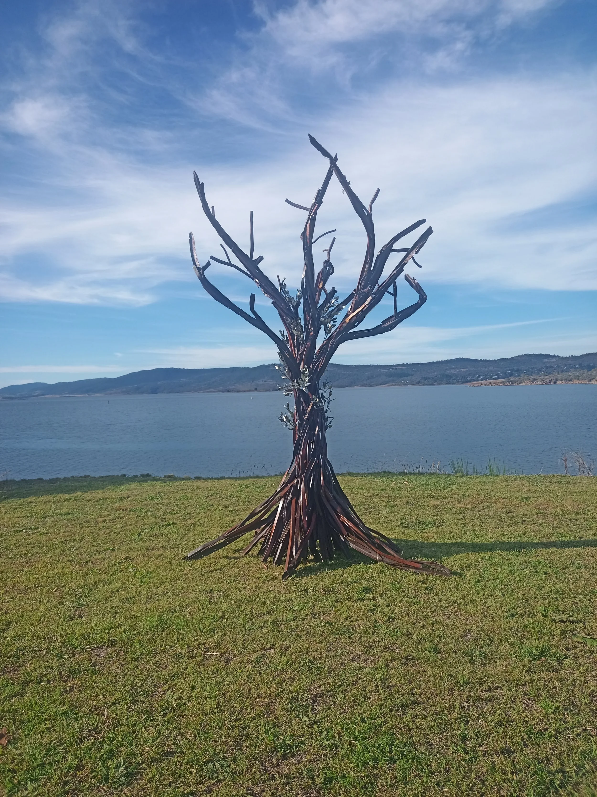 Epicormic Regeneration at Lake Light Sculpture Jindabyne.jpg