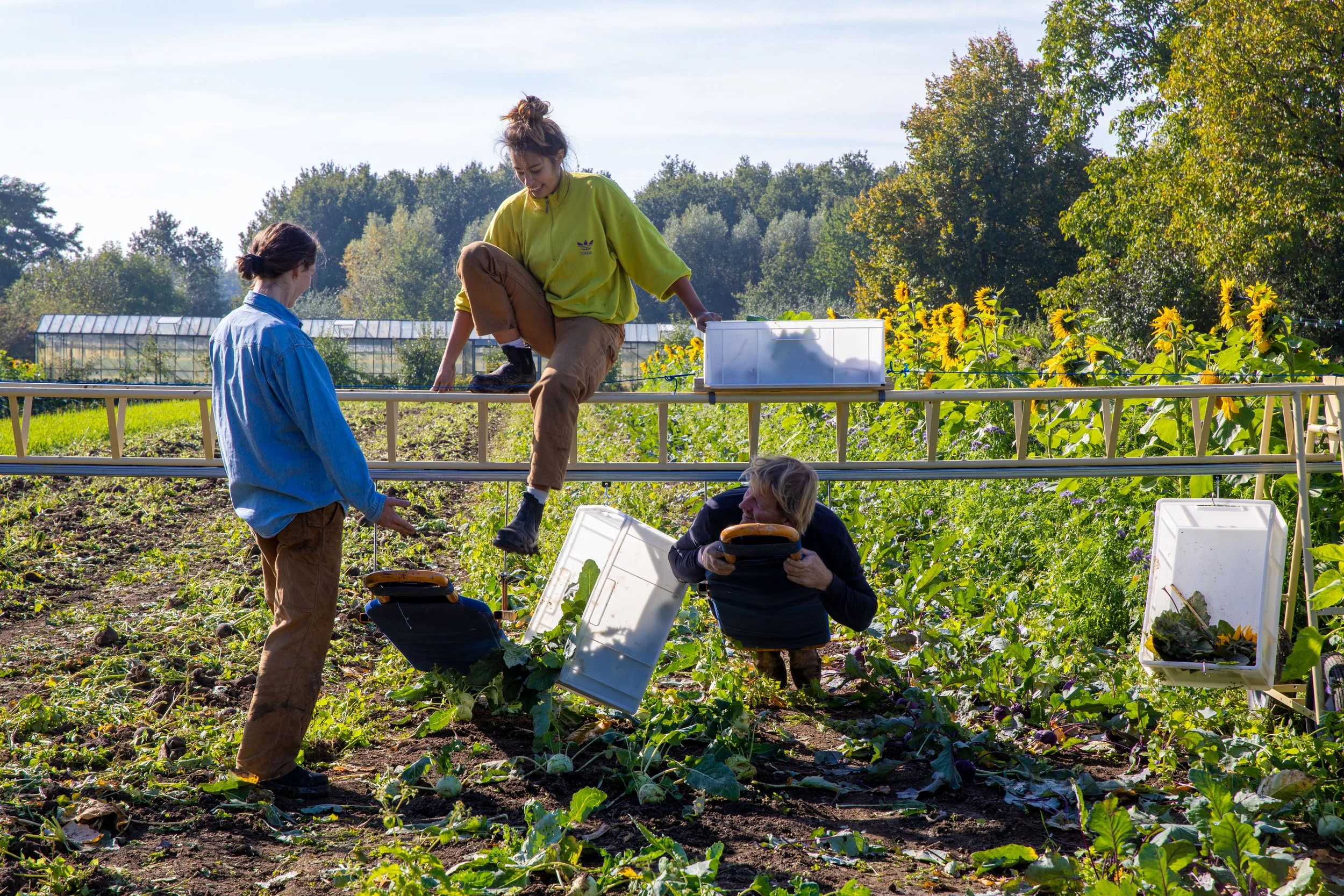 Vijf mensen werken samen in een circlefarm moestuin, met planten en een kas op de achtergrond.