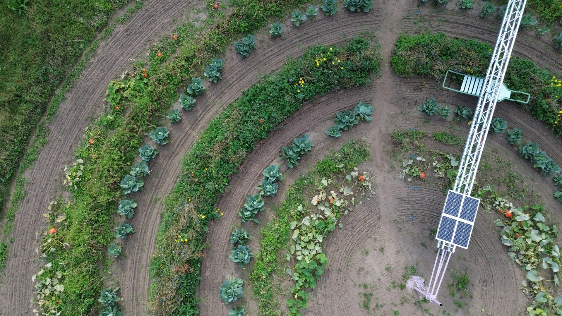 Circlefarming