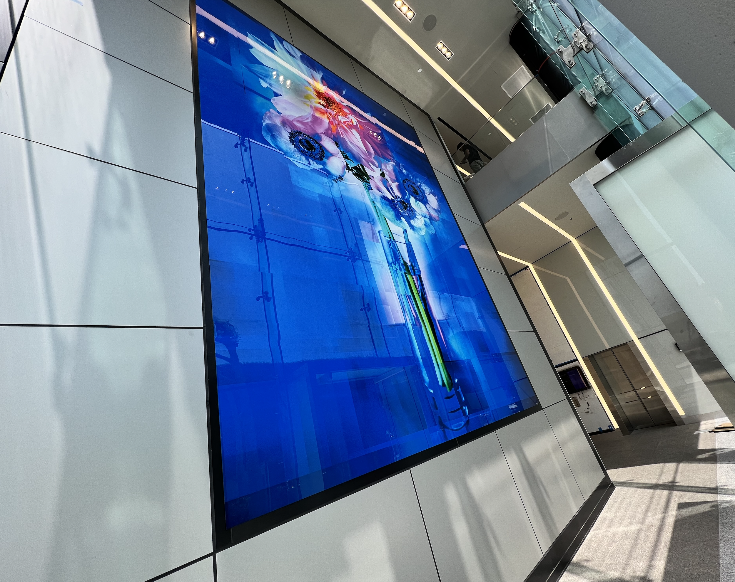 Screenshot 2024-11-19 at 10.40.05 AM.png