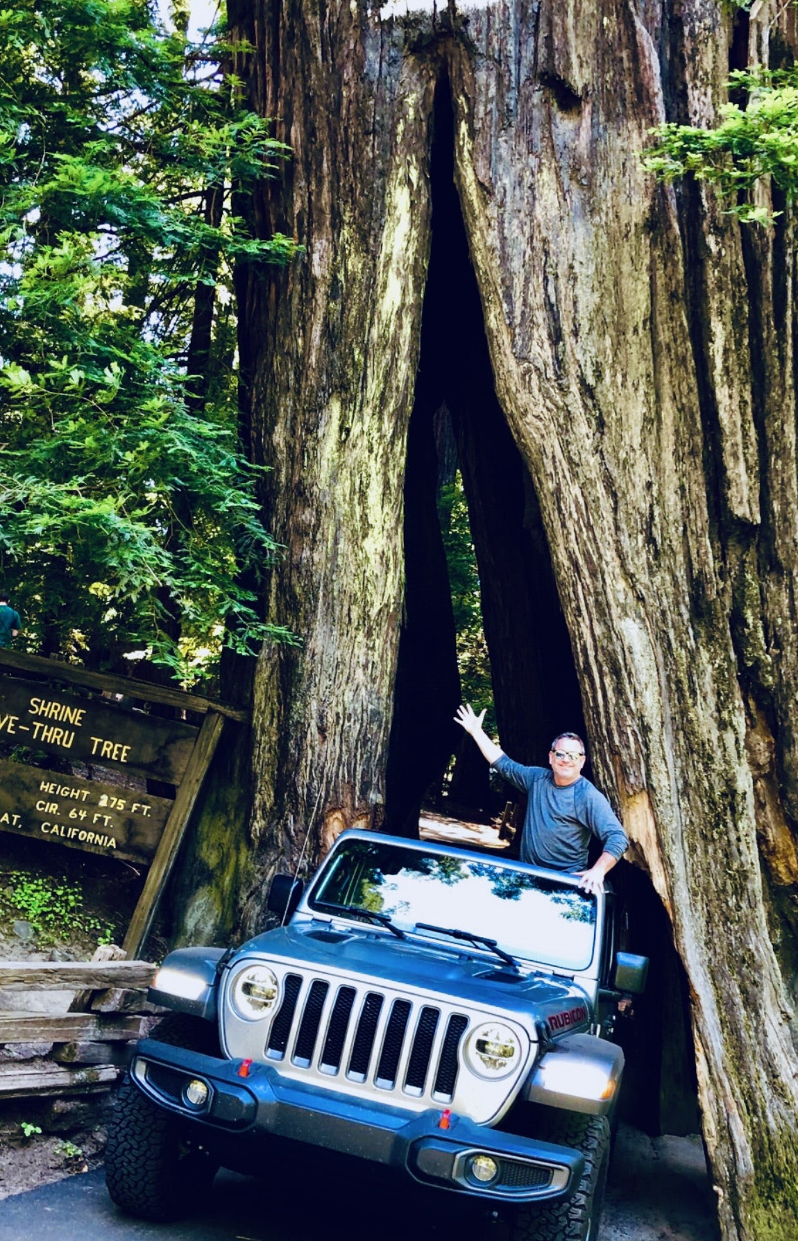 Screen Shot 2022-06-15 at 3.30.43 AM.png