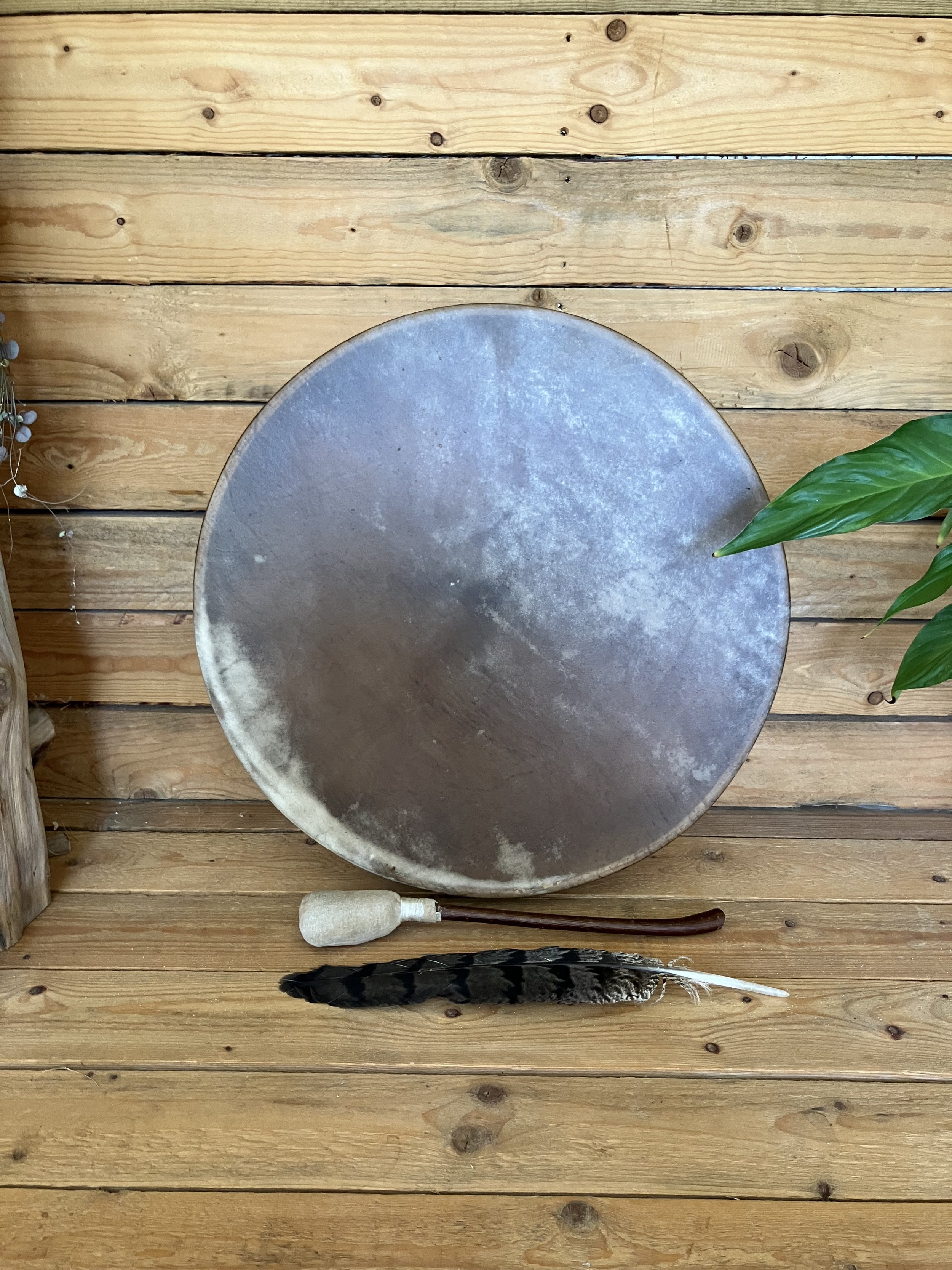 Shamanic drum, drum beater, and large feather in a log cabin.