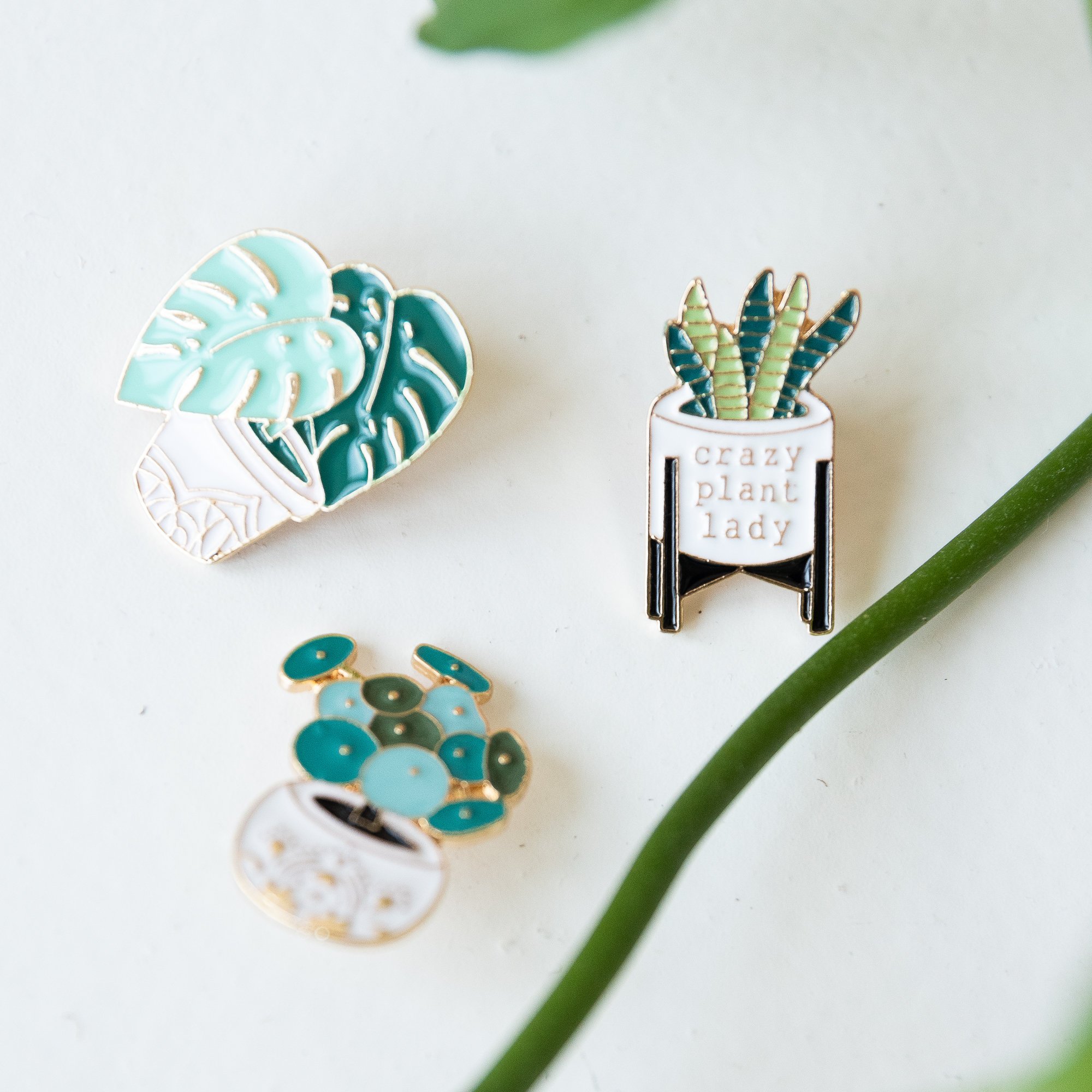https://i.etsystatic.com/20345109/r/il/2388ab/5297722308/il_fullxfull.5297722308_lqwz.jpg