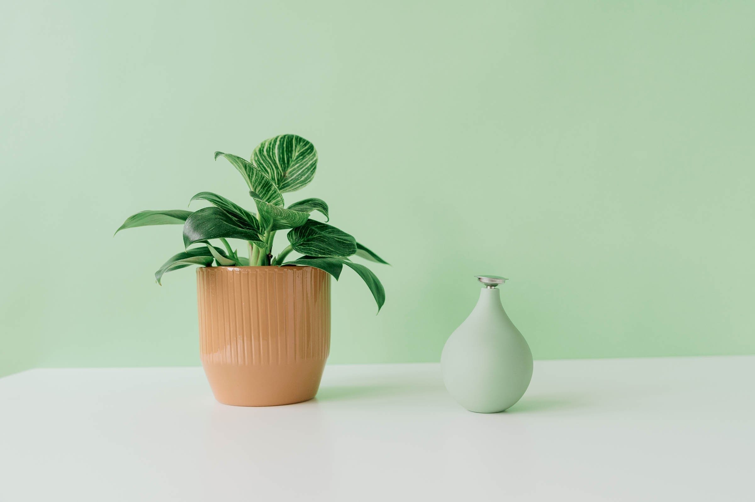 https://i.etsystatic.com/20345109/r/il/253e97/3716860353/il_fullxfull.3716860353_752j.jpg
