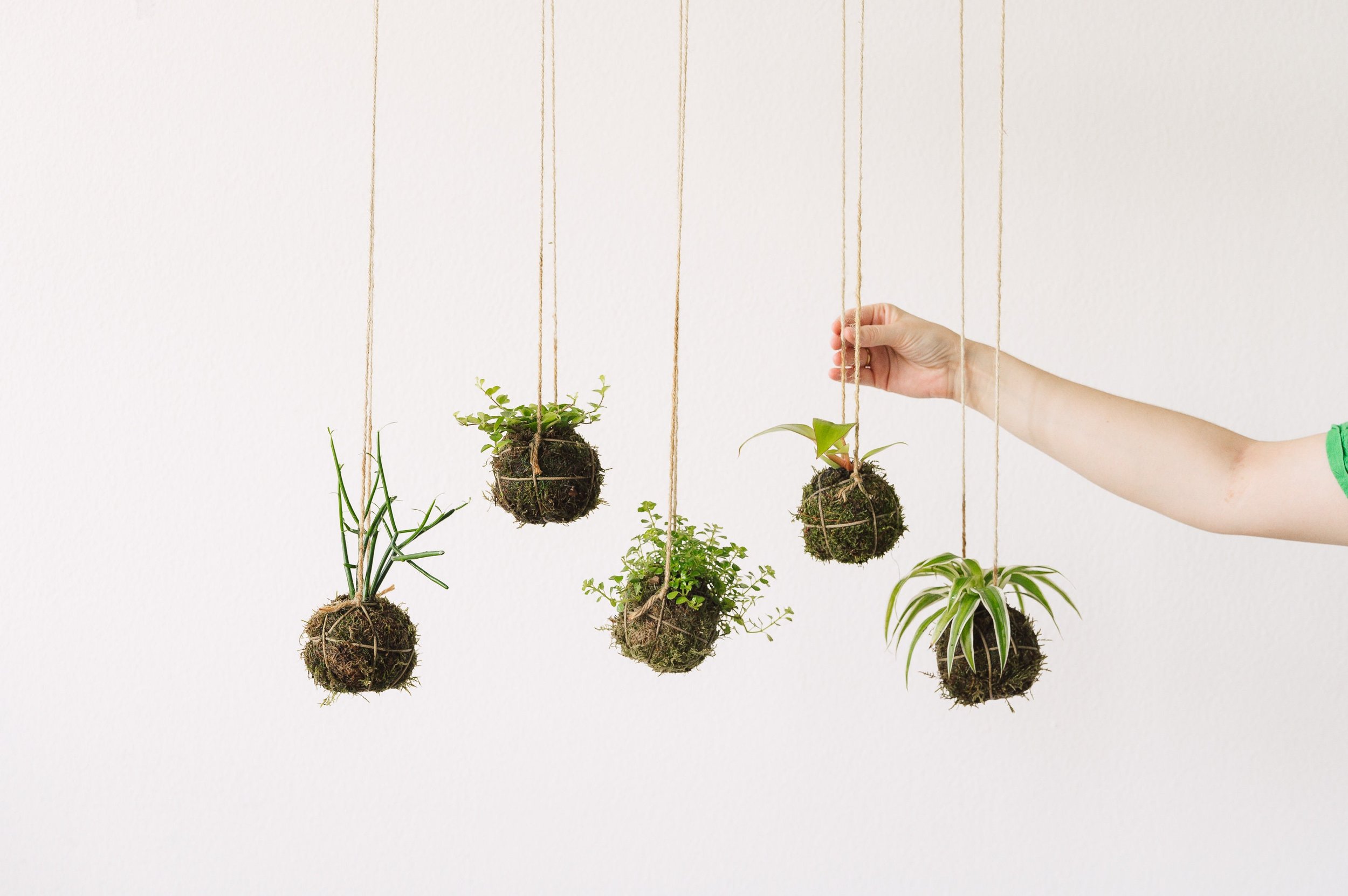 https://i.etsystatic.com/20345109/r/il/dd090e/5354613860/il_fullxfull.5354613860_oi8m.jpg