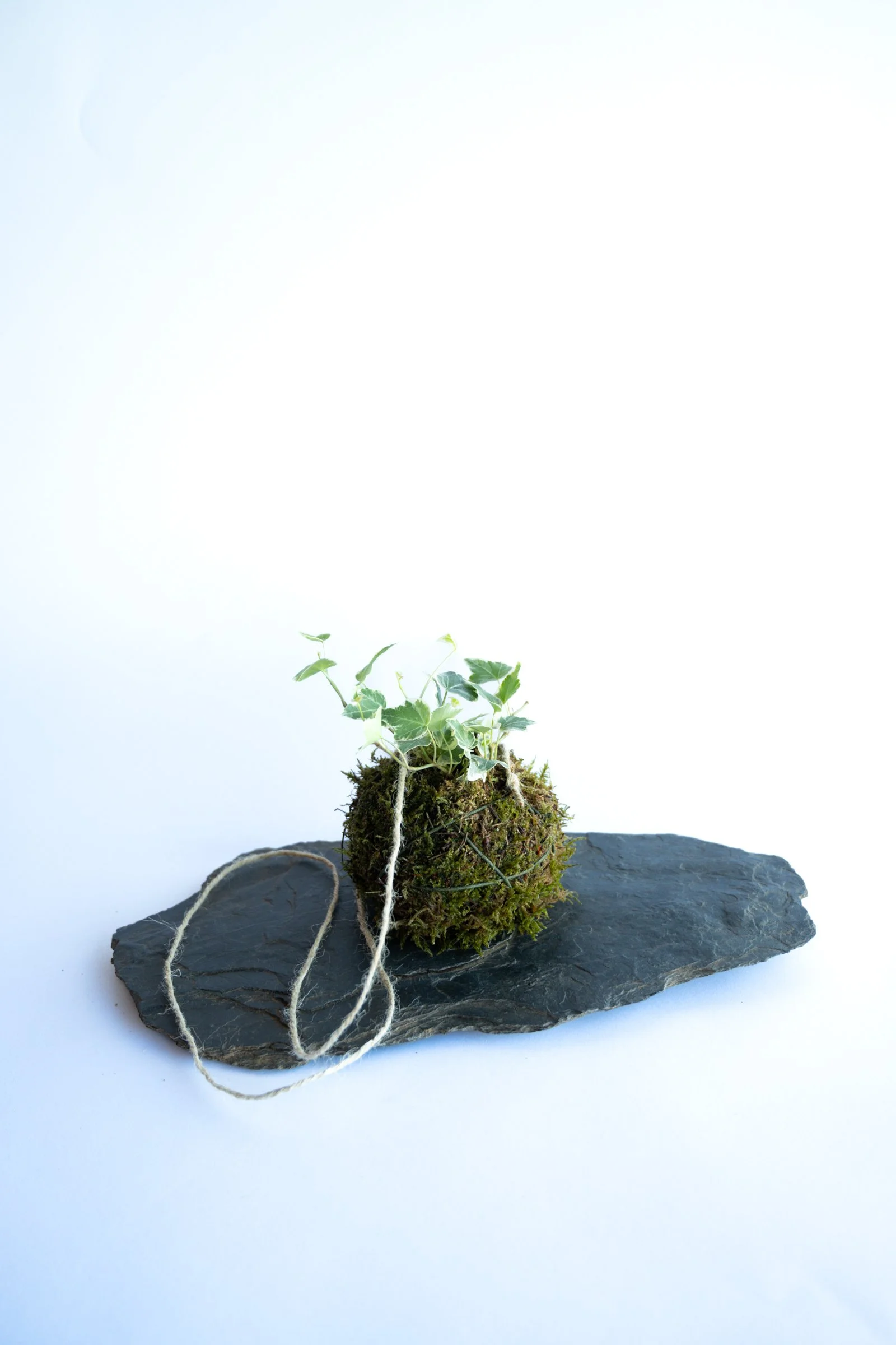 kokedama-1366.jpg