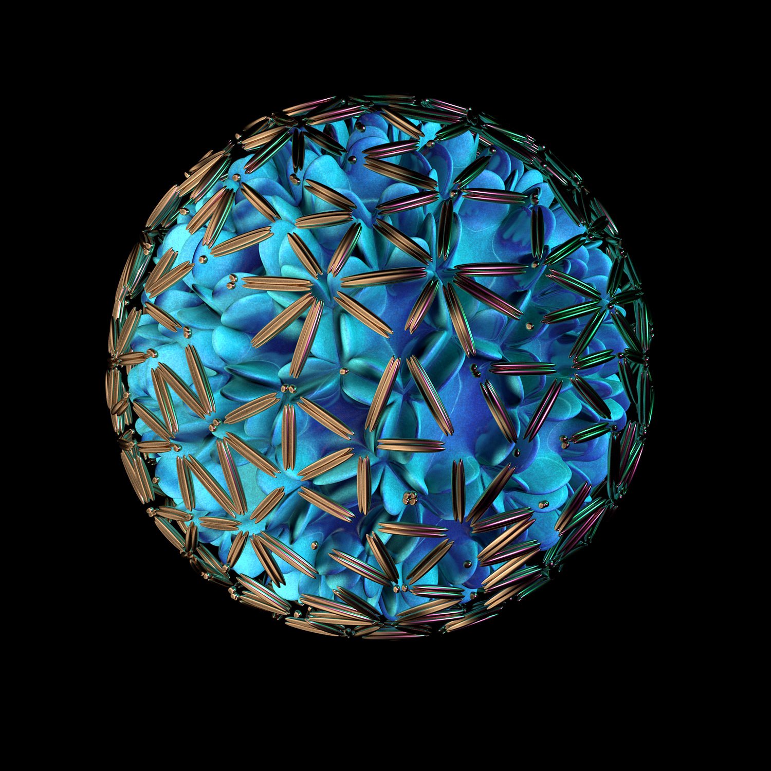 Seed 2 - 2019
