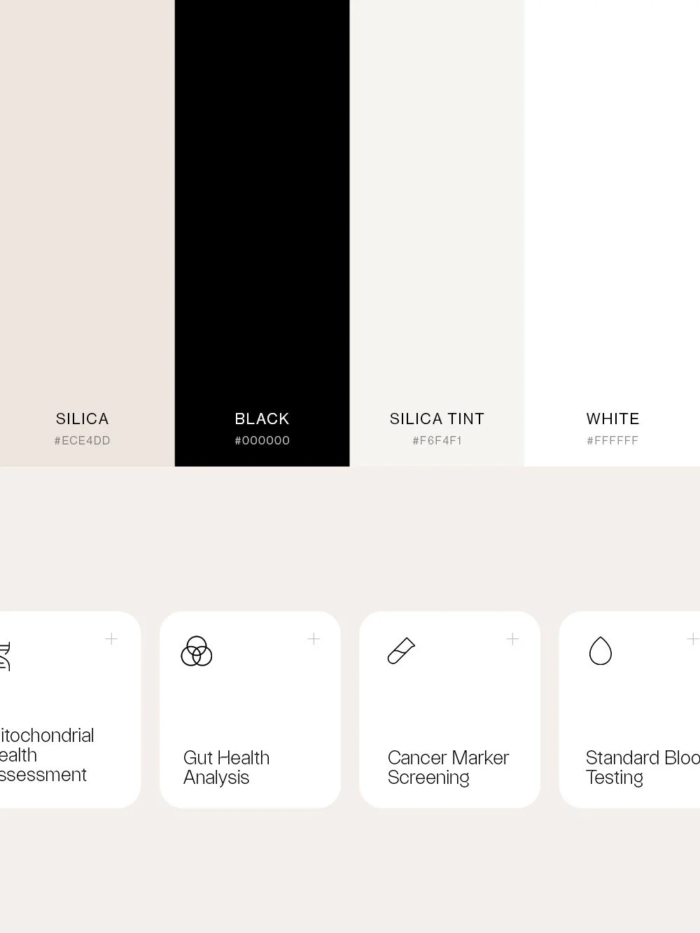 Agami_Portrait_branding.jpg
