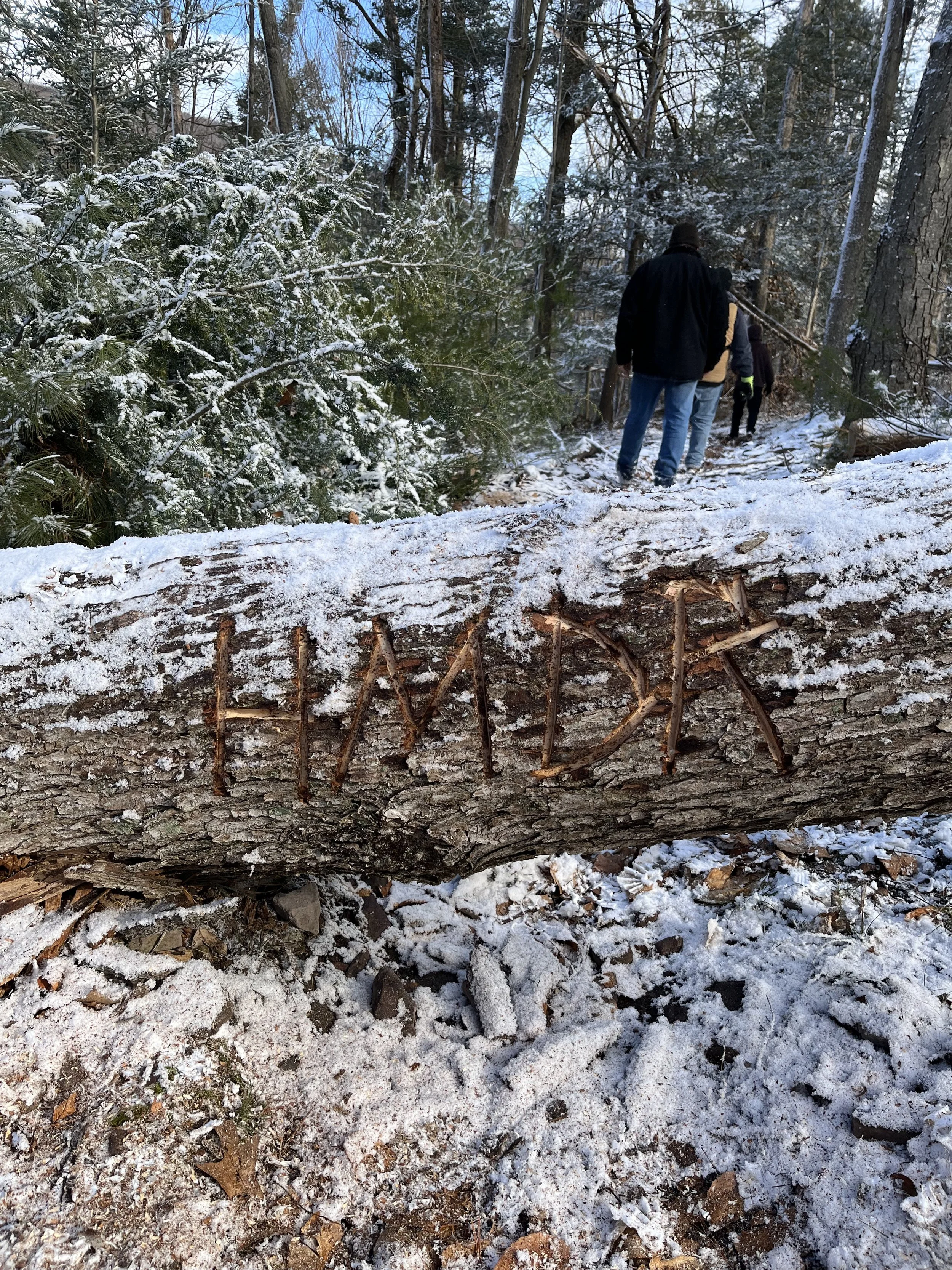 HMDR Log Carved.jpg