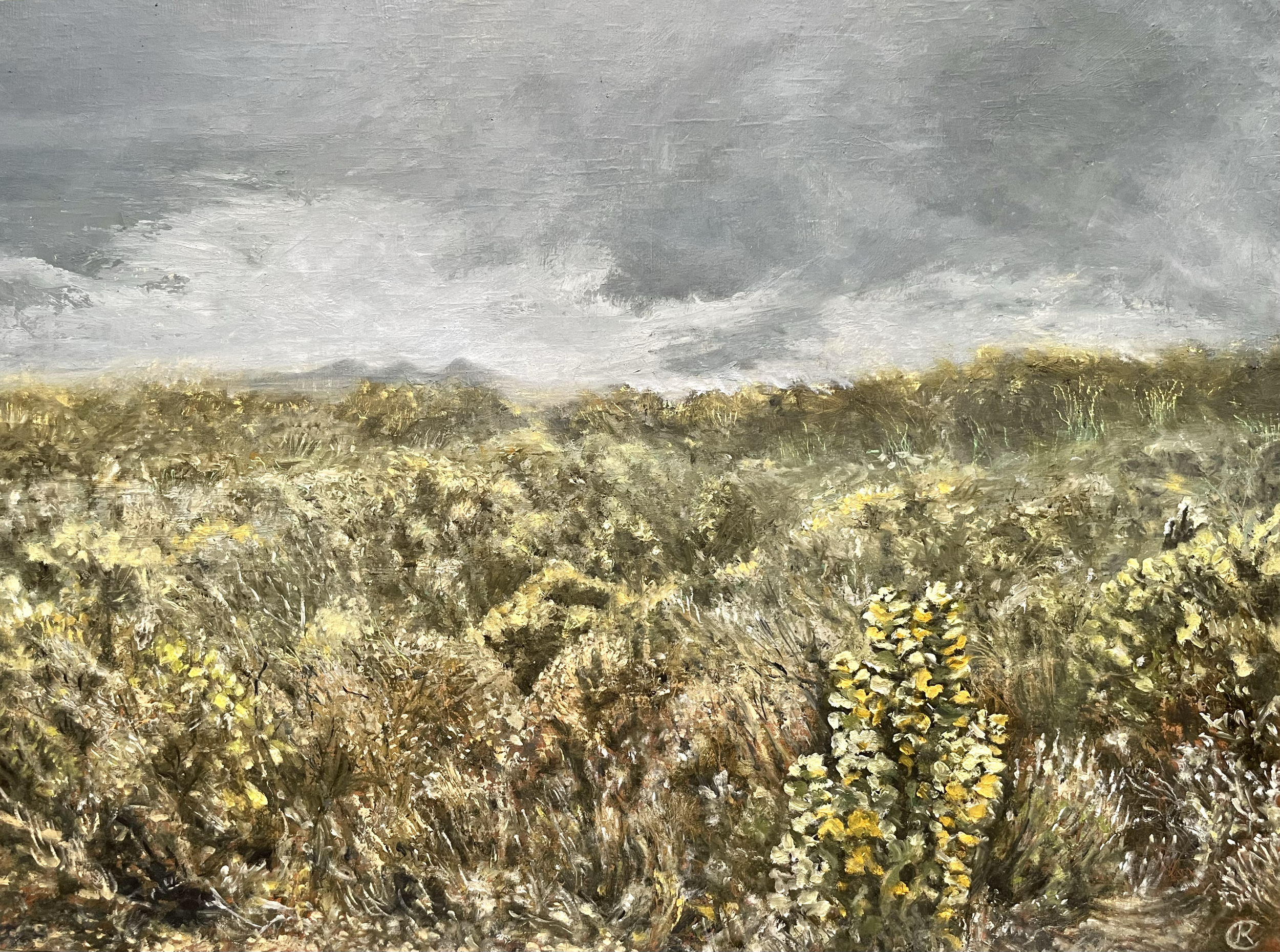 UNTAMED LAND 
Oil on board, 40x30cm
SOLD