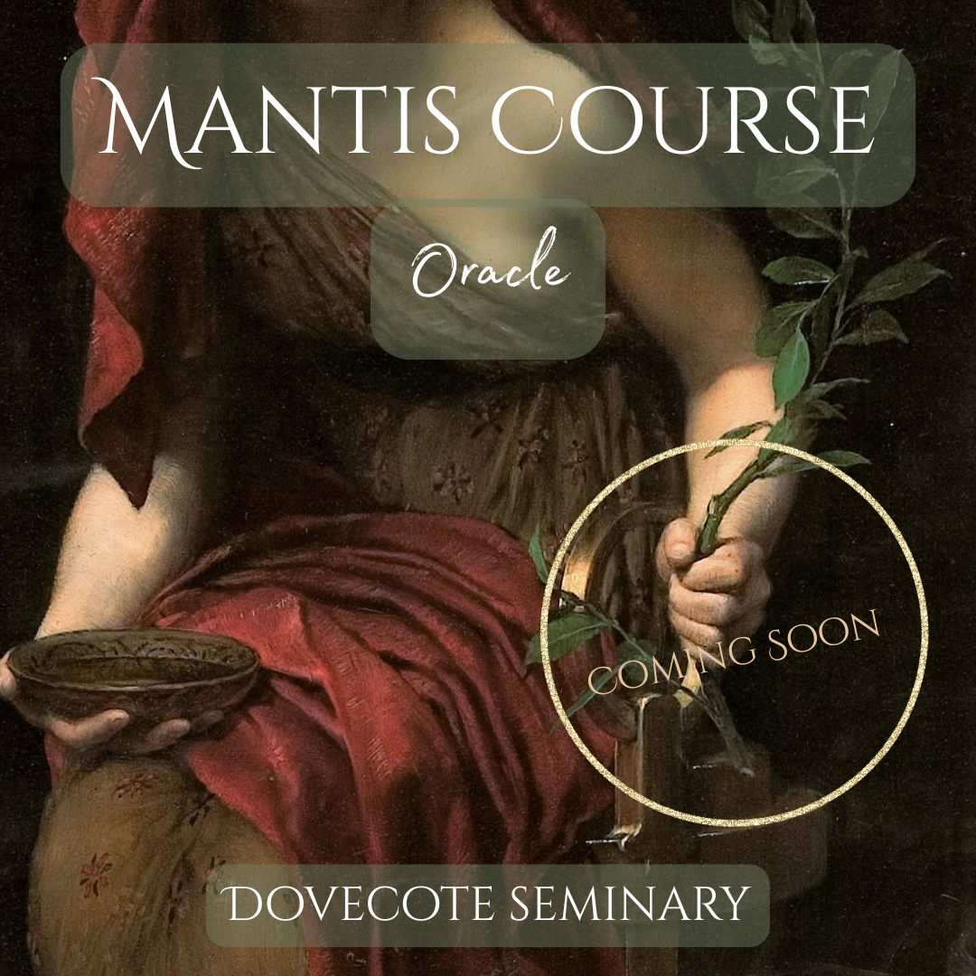 mantis course gallery cover.png