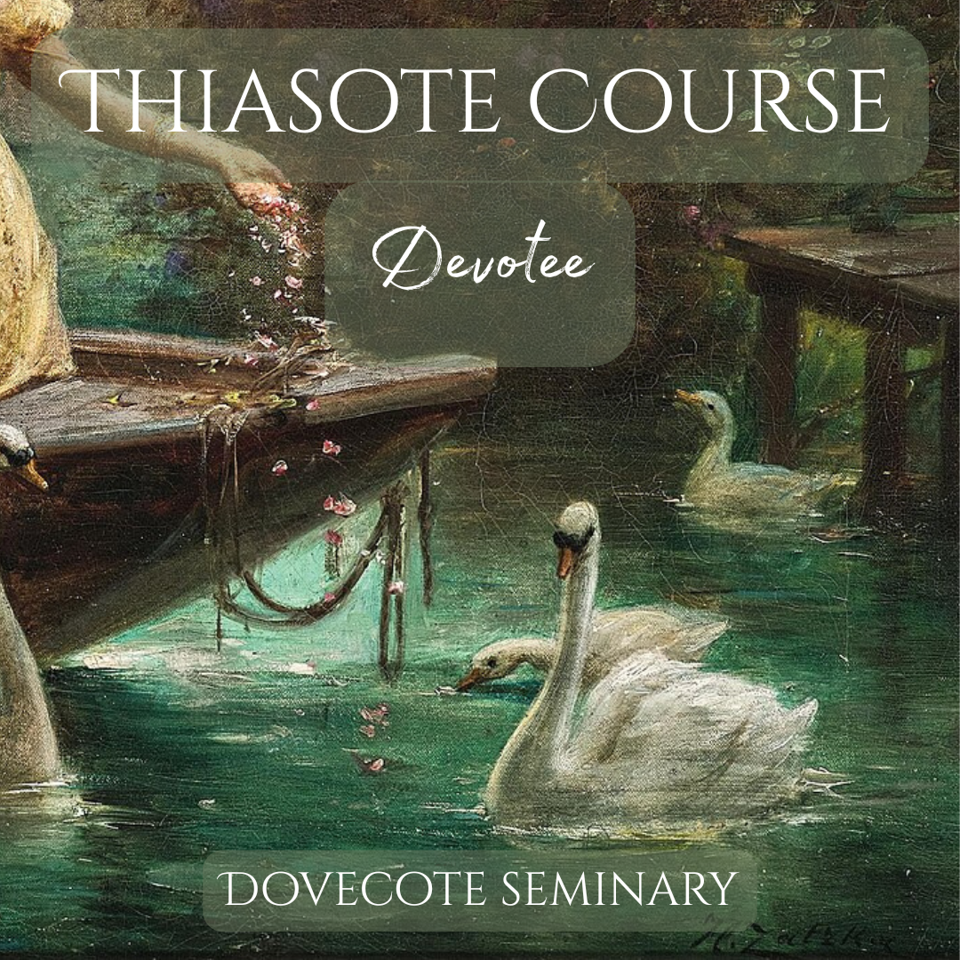 thiasote course gallery cover.png