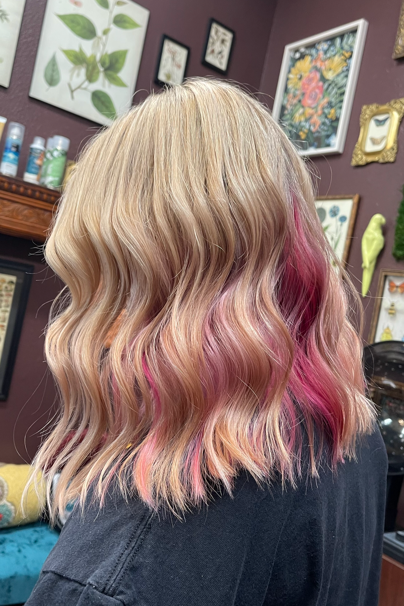 Back of a woman's head with shoulder-length wavy blonde hair with pink tips, inside a room with framed botanical and floral artwork on a dark purple wall.