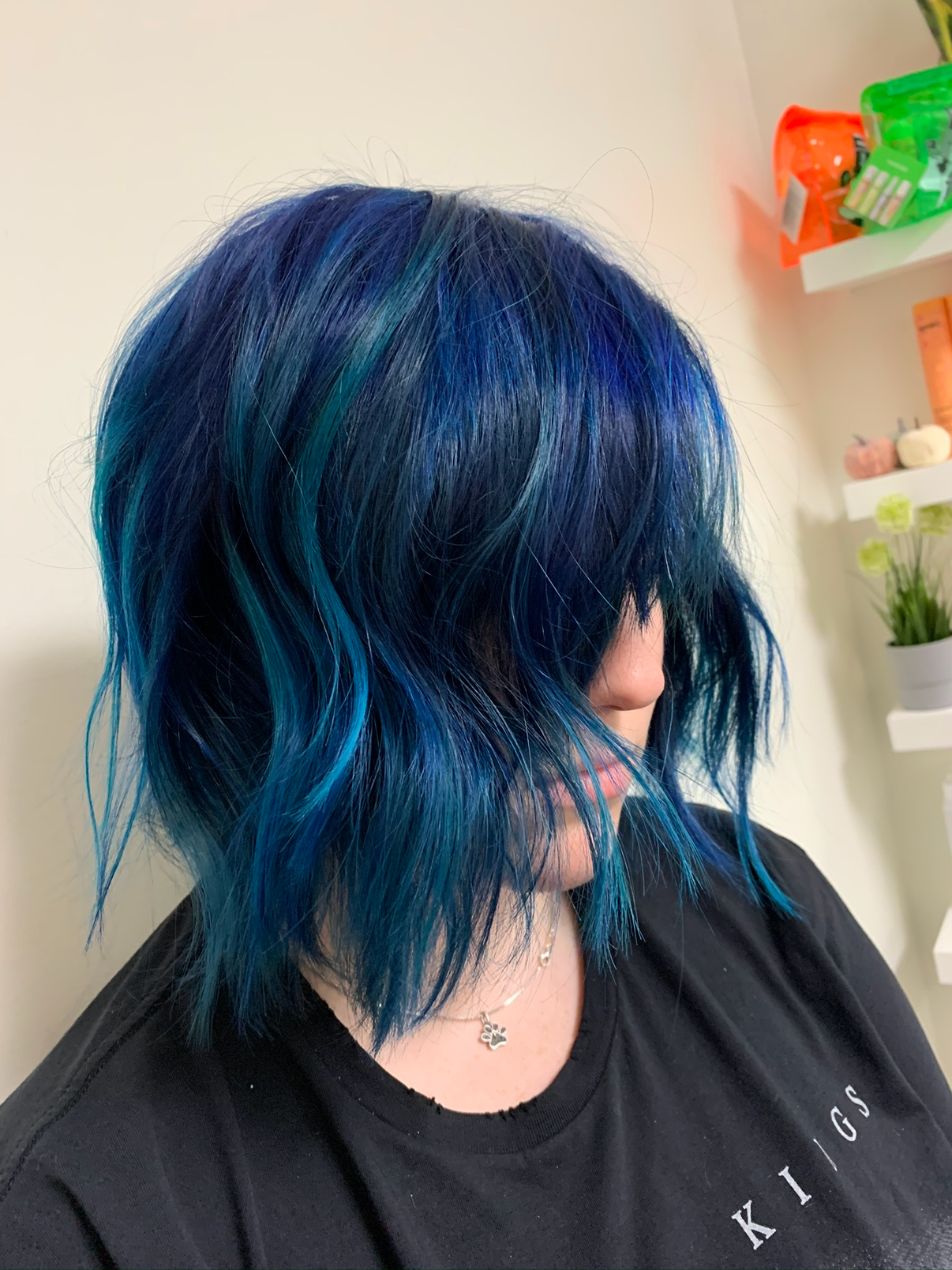 Person with short, wavy, blue hair with teal highlights, wearing a black shirt and a silver necklace with a paw print pendant, standing indoors with shelves and plants in the background.