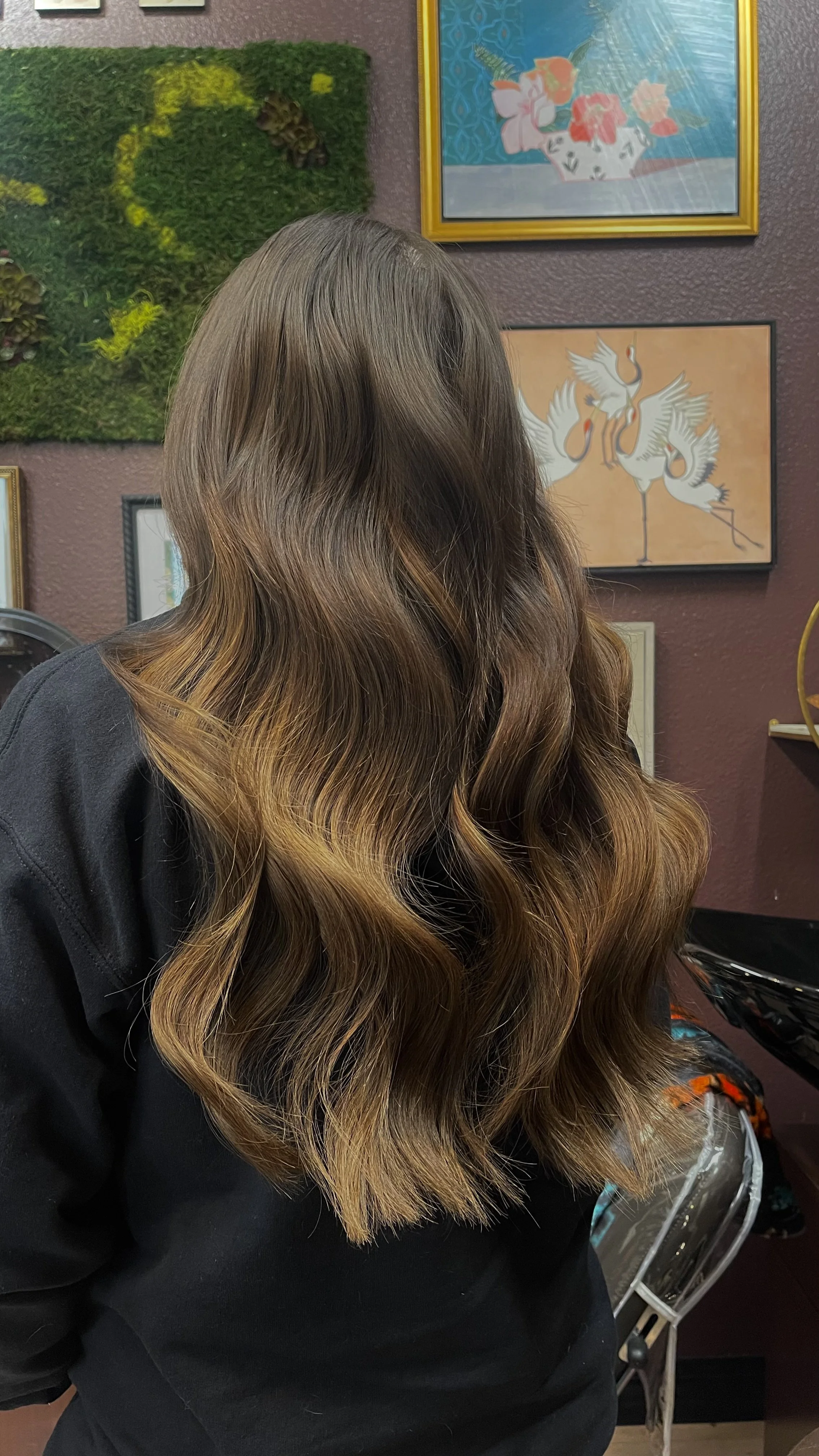 Back of a woman with long, wavy brown hair with lighter highlights, sitting in a salon against a wall decorated with framed artwork and a green moss art piece.