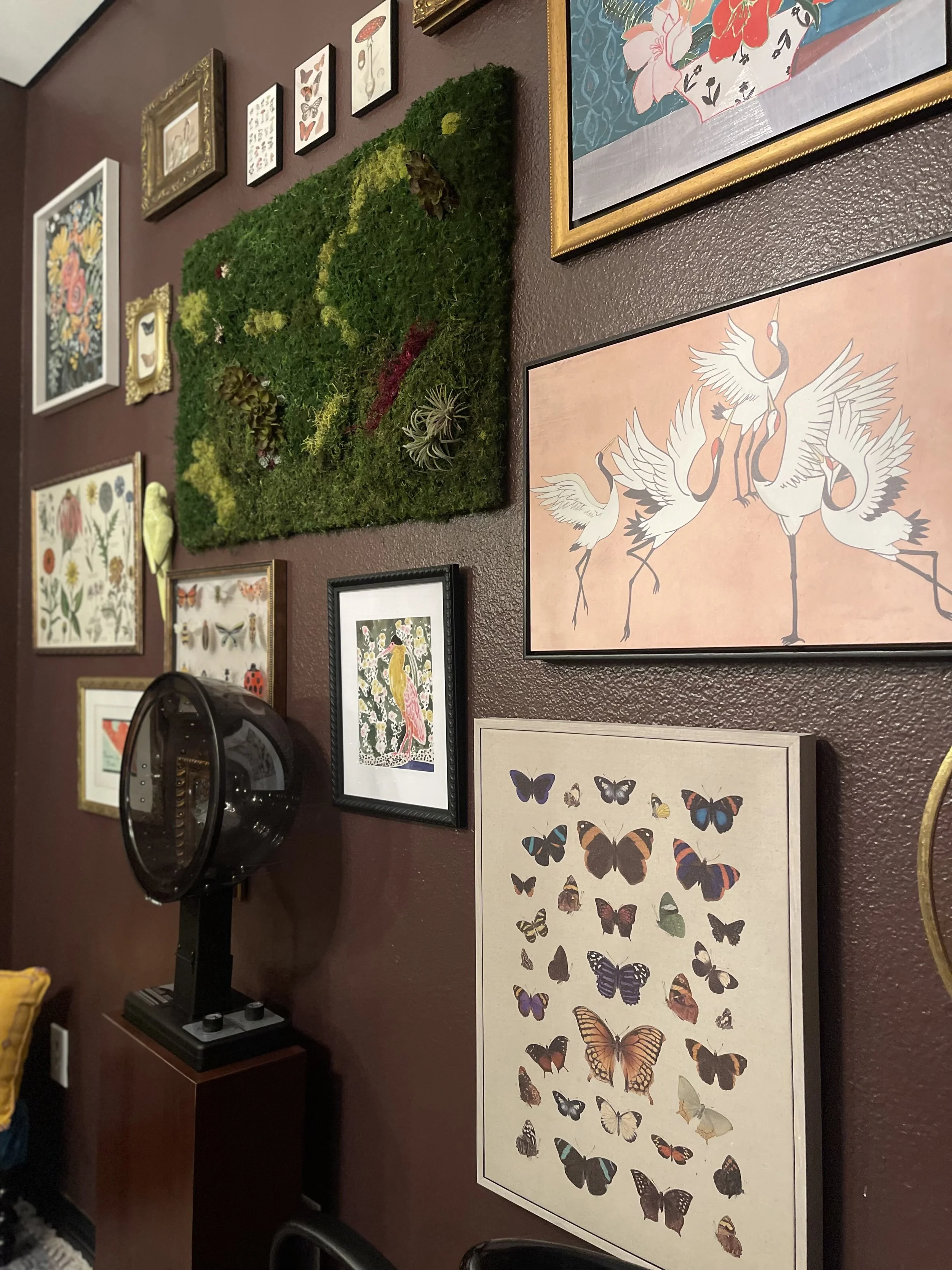 gallery wall shot.jpg
