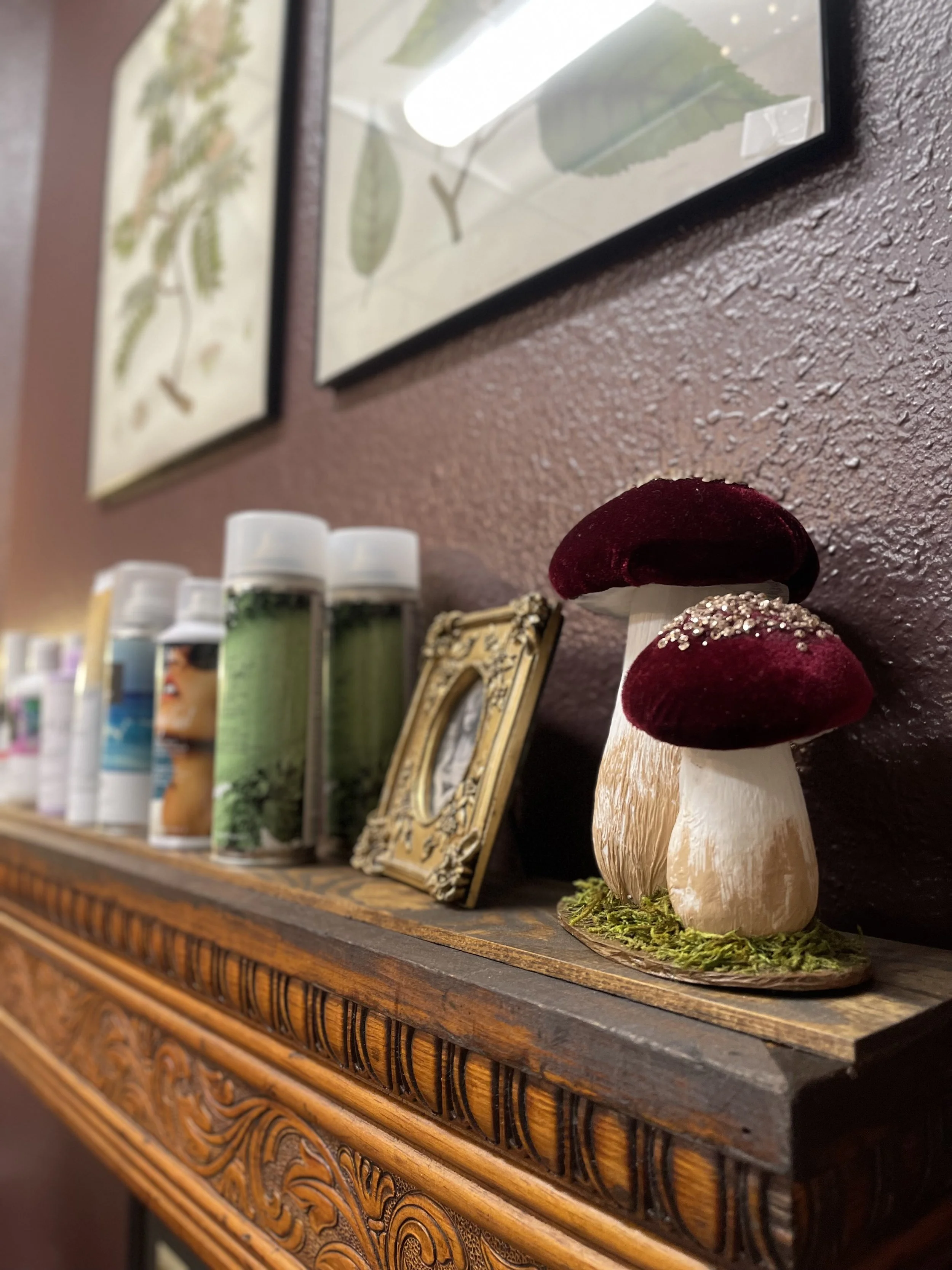 salon shelf with mushroom.jpg