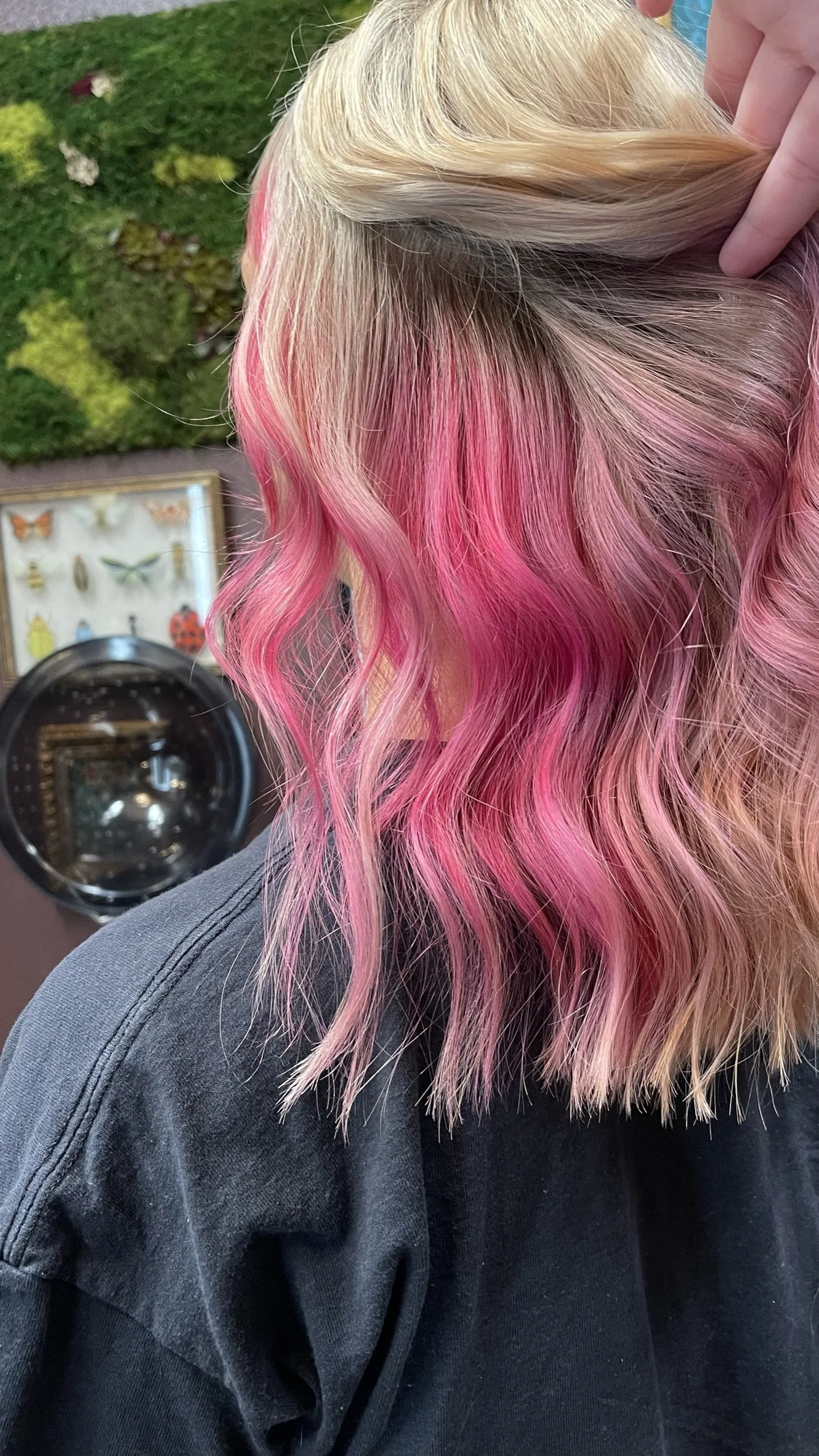 Close-up of a woman's hair dyed pink with blonde roots, styled in loose waves.