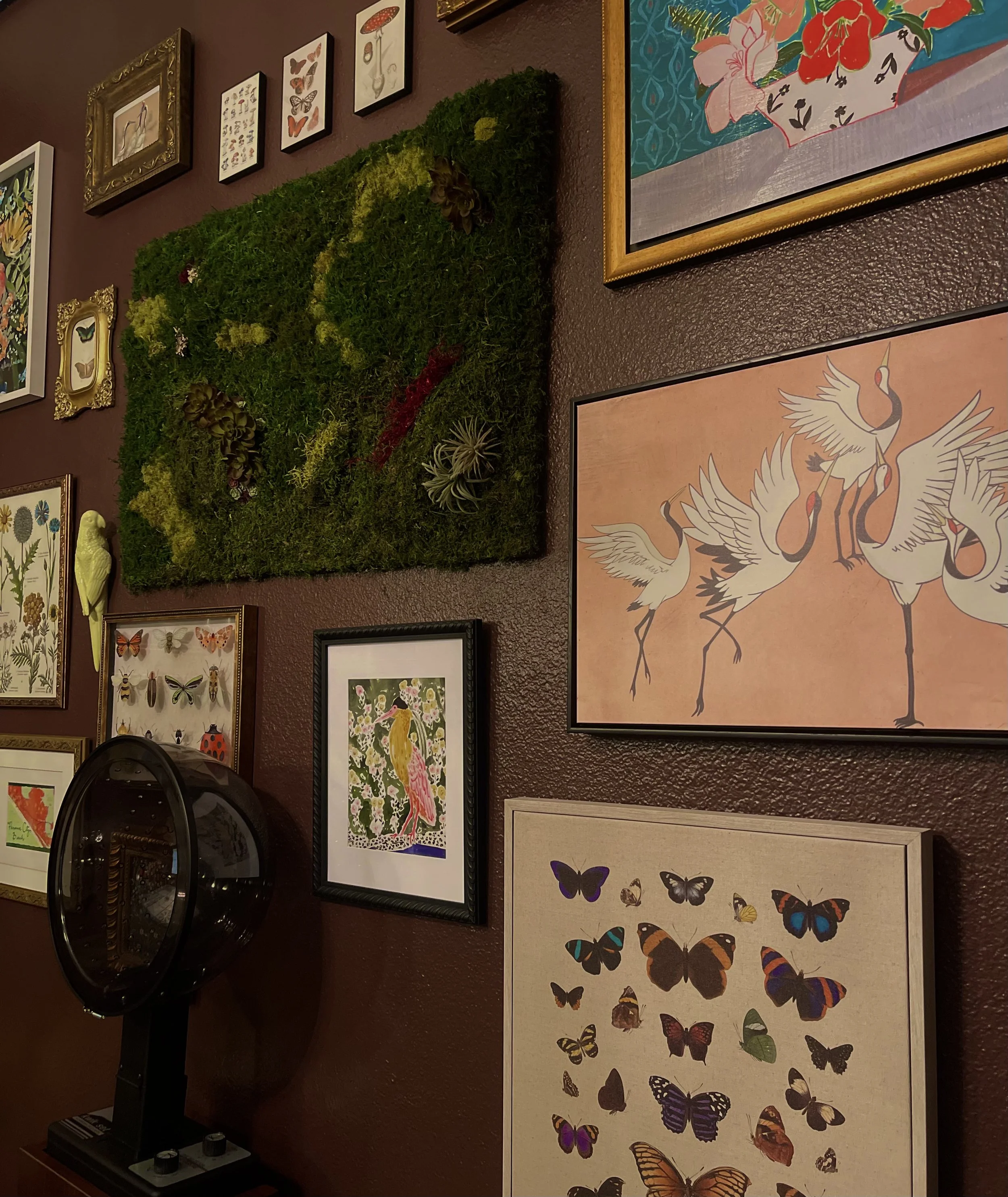 A wall decorated with various framed artwork and a green moss art piece. The artwork includes illustrations of insects, birds, flowers, and butterflies, arranged on a textured brown wall.