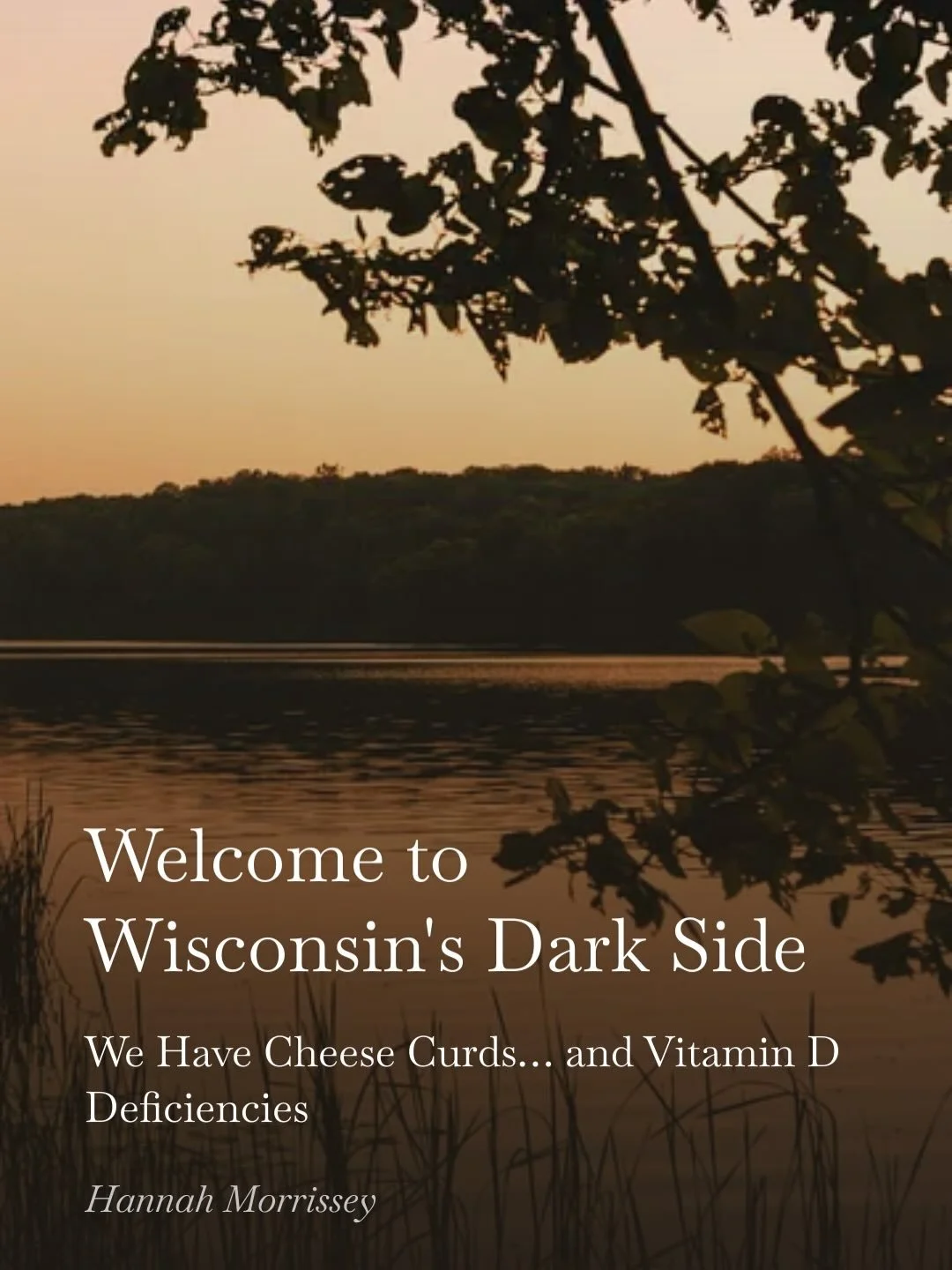 Go Wisco, it&rsquo;s your birthday 🖤💀

#hannahmorrissey #readcrimefiction #thrillerbooks #wisconsinnoir #wisconsinbooks