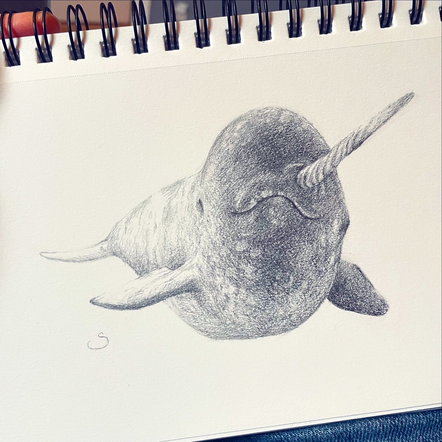 Oh hey there little Narwhal. You&rsquo;re a cutie. 
.
I need to get back to this Animalia series. In true &ldquo;Sarah&rdquo; form I have abandoned it just before it was finished&hellip;. So let&rsquo;s gooooo! I have one more batch to go to get to 1