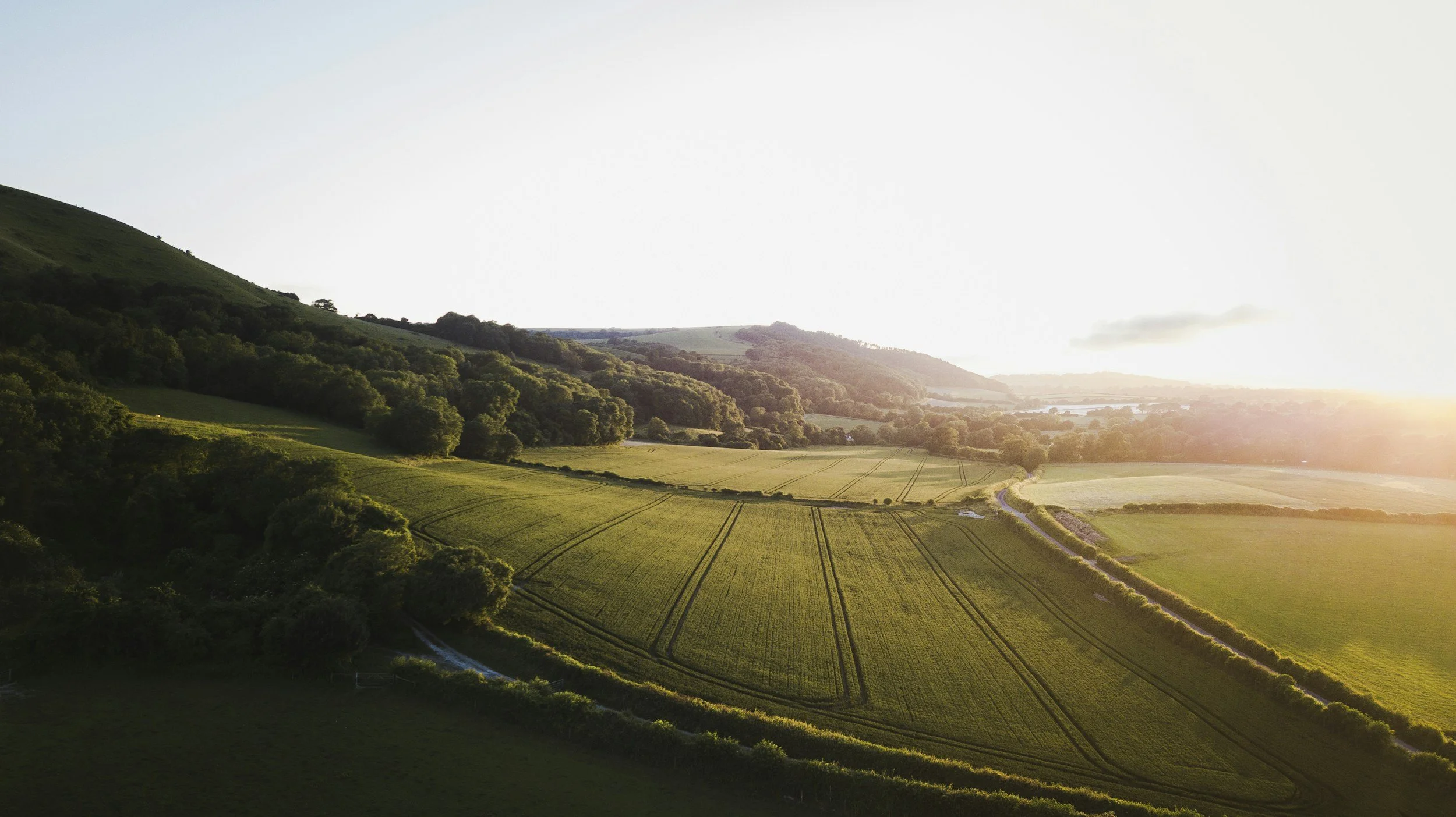 Sunset over green fields and rolling hills with trees and a winding road.