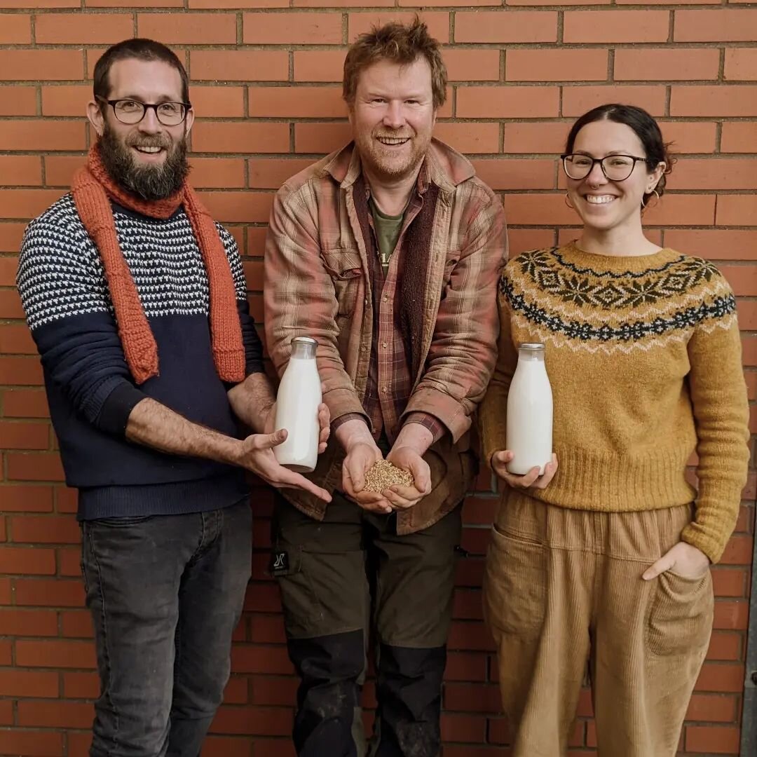 T R A I N I N G: It was a real pleasure teaching @dyfidairy how to make oatmilk at the end of last year. In the middle is Jo, the farmer who will grow the naked oats in West Wales, and on the right is Sophia, who will be the lead producer, and Sam on