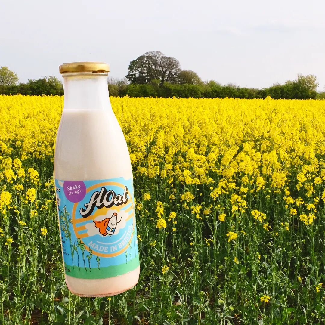 The rapsflower is in bloom! If you've travelled through the UK countryside recently, you might have noticed the powerful fields of yellow, and the sweet smell they have, which is the rapsflower (commonly known as rapeseed) which is an oilseed crop th