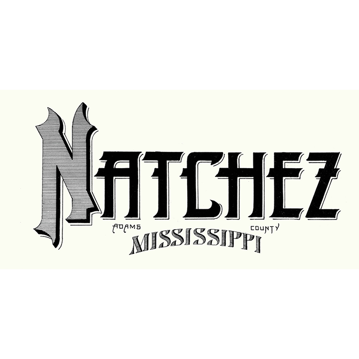 MSNCZ01.png