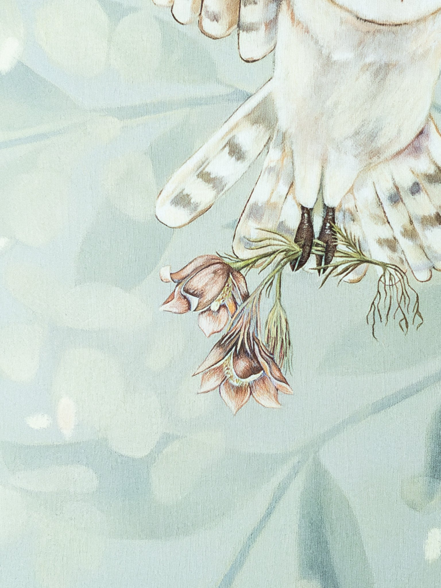 Flower Thief detail 2.jpg