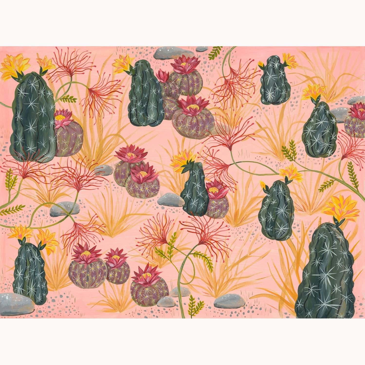 Cactus garden II Squarespace.jpg