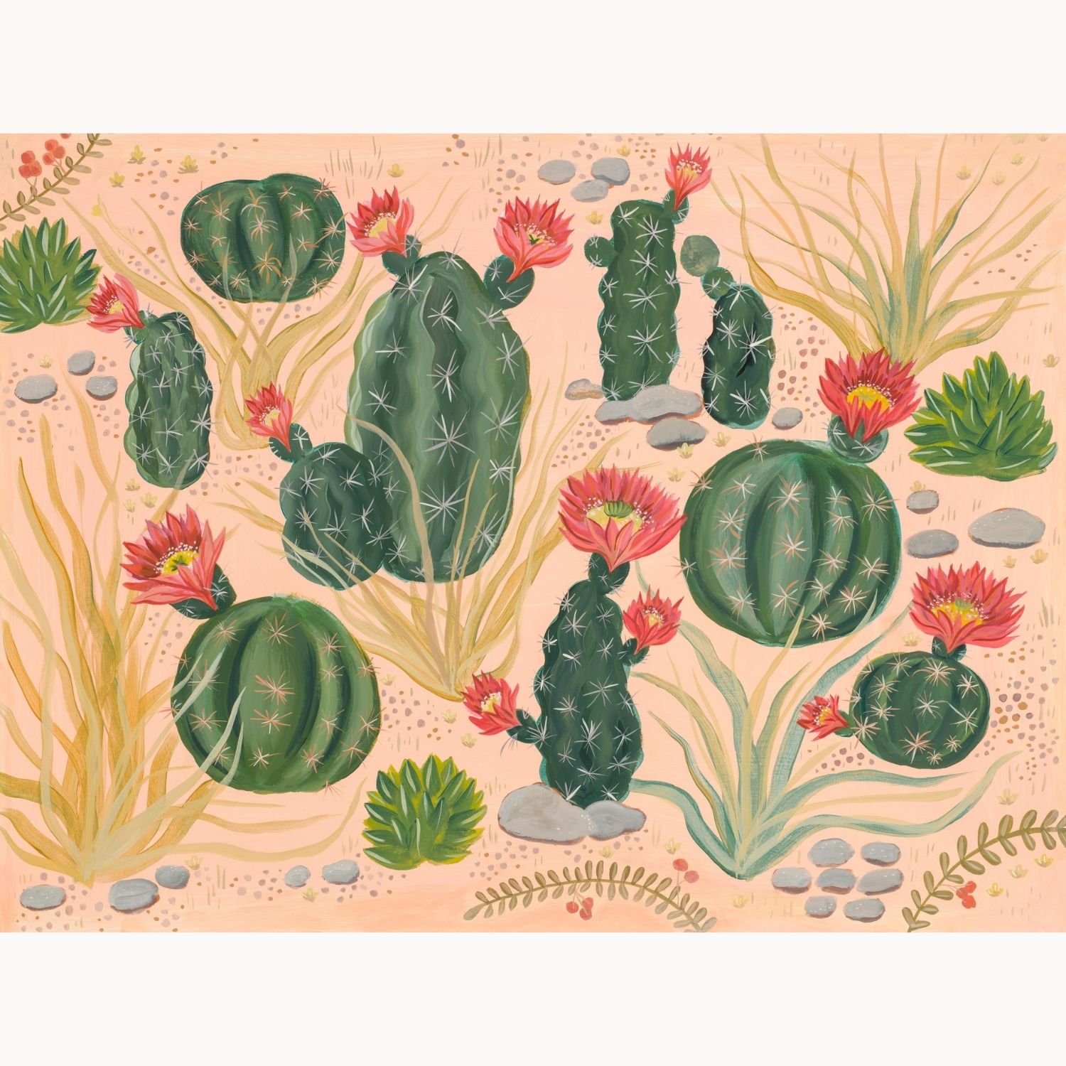 Cactus garden I Squarespace.jpg.jpg