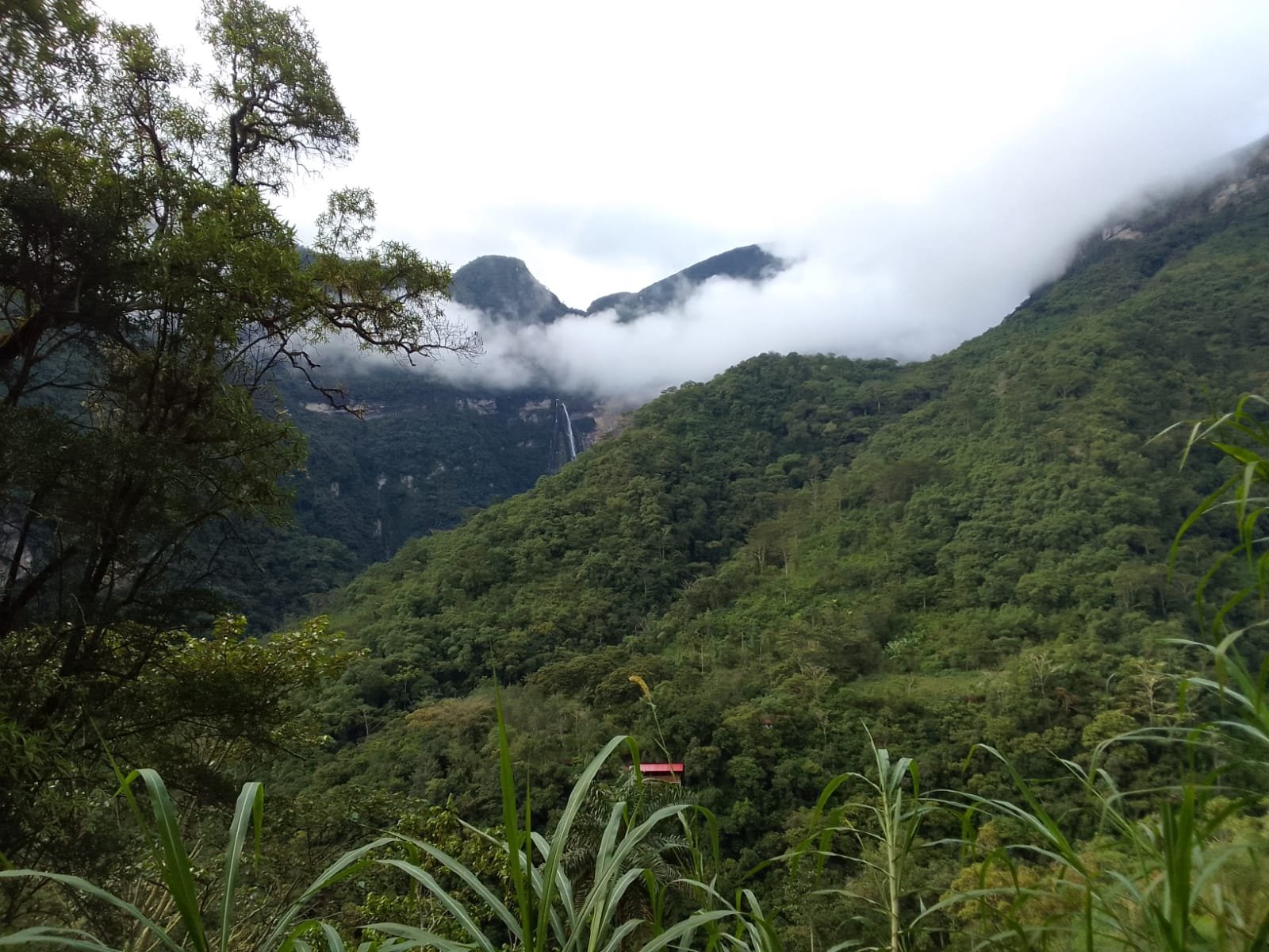 Peru, Ecuador, Colombia, travel South America, energetic point, earth, love pachamama