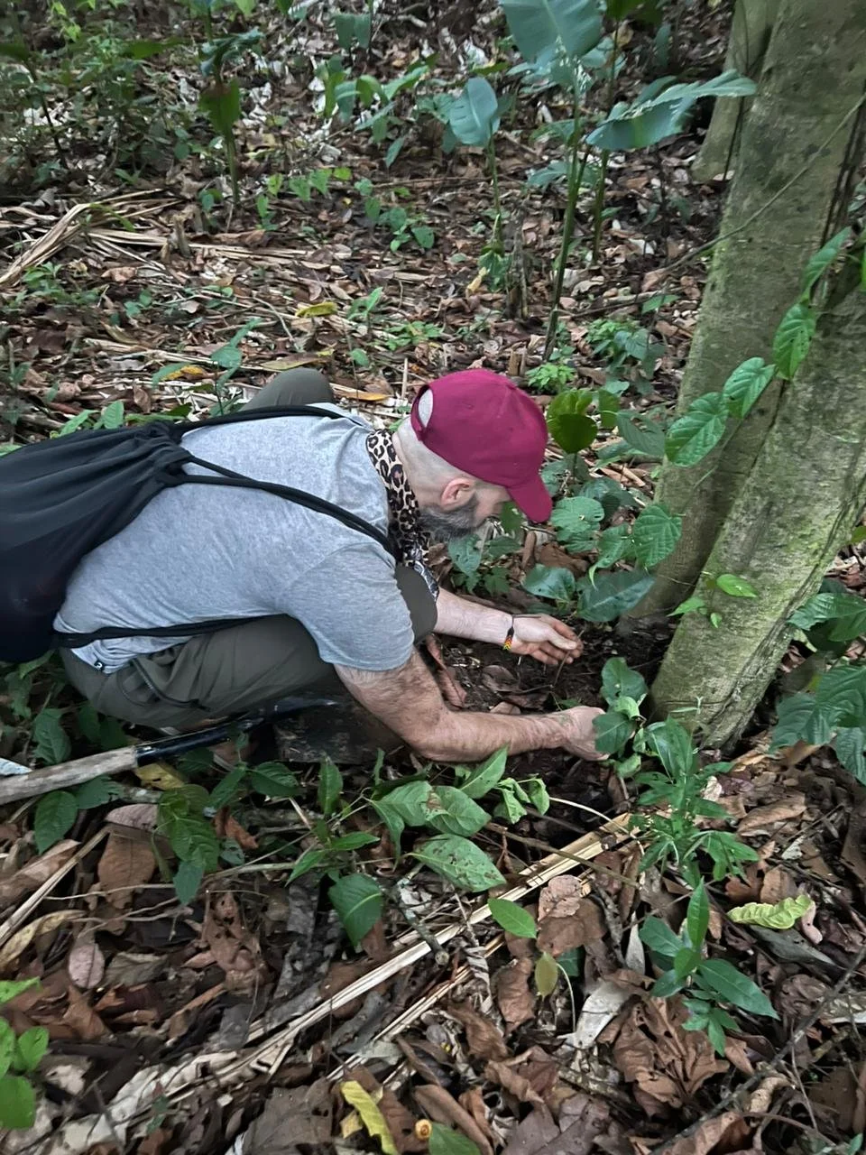 Planting seeds 3.jpeg