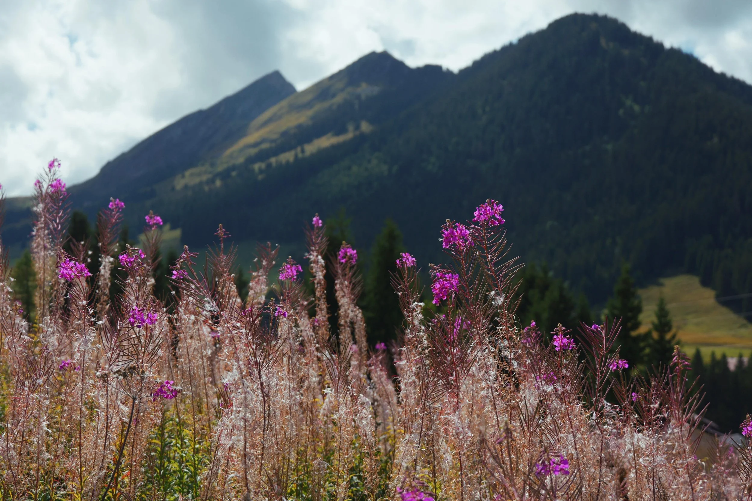 WhatsApp Image 2025-09-08 at 10.09.17 AM (2).jpeg