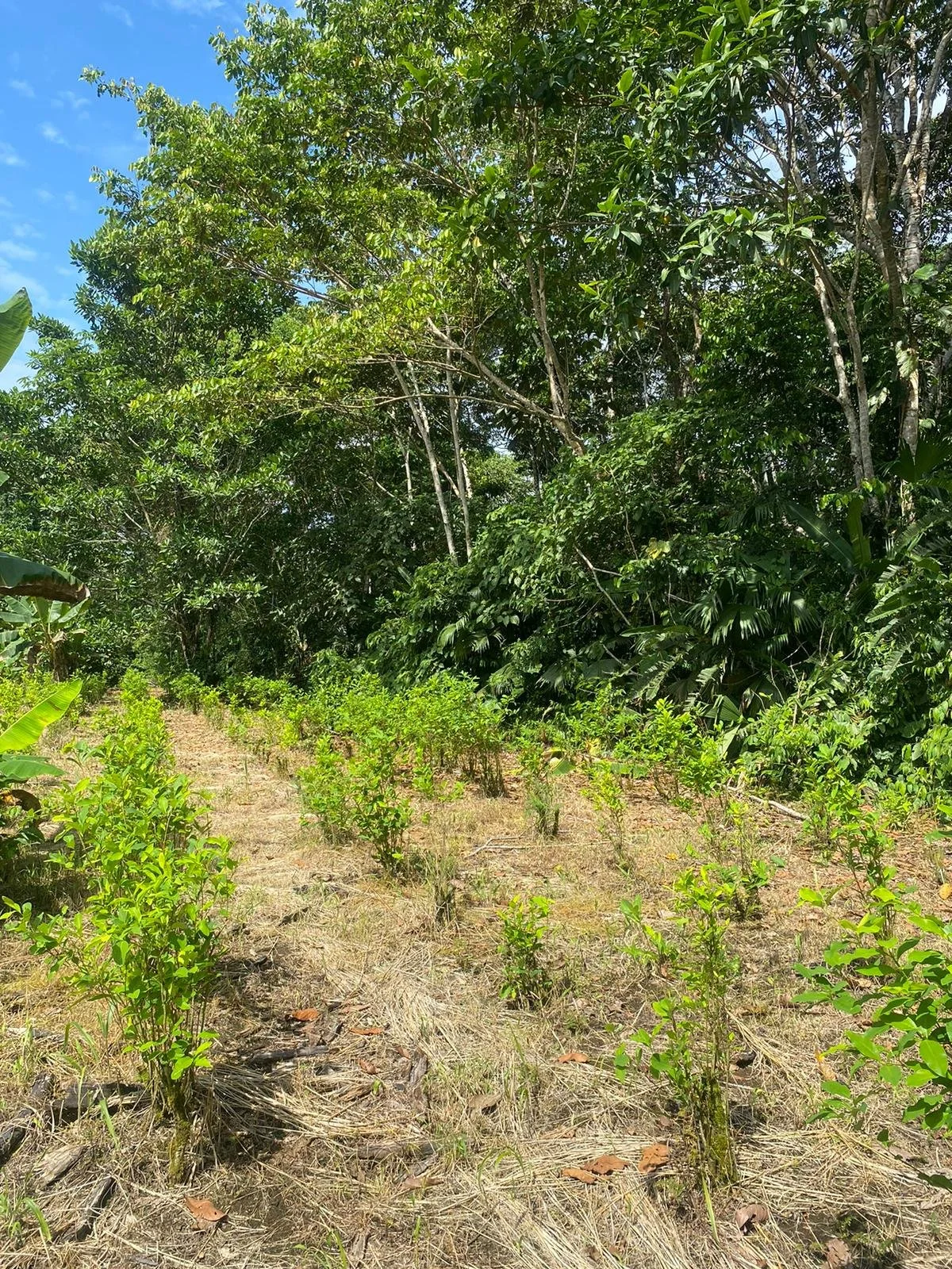 WhatsApp Image 2025-11-27 at 11.33.20 PM.jpeg