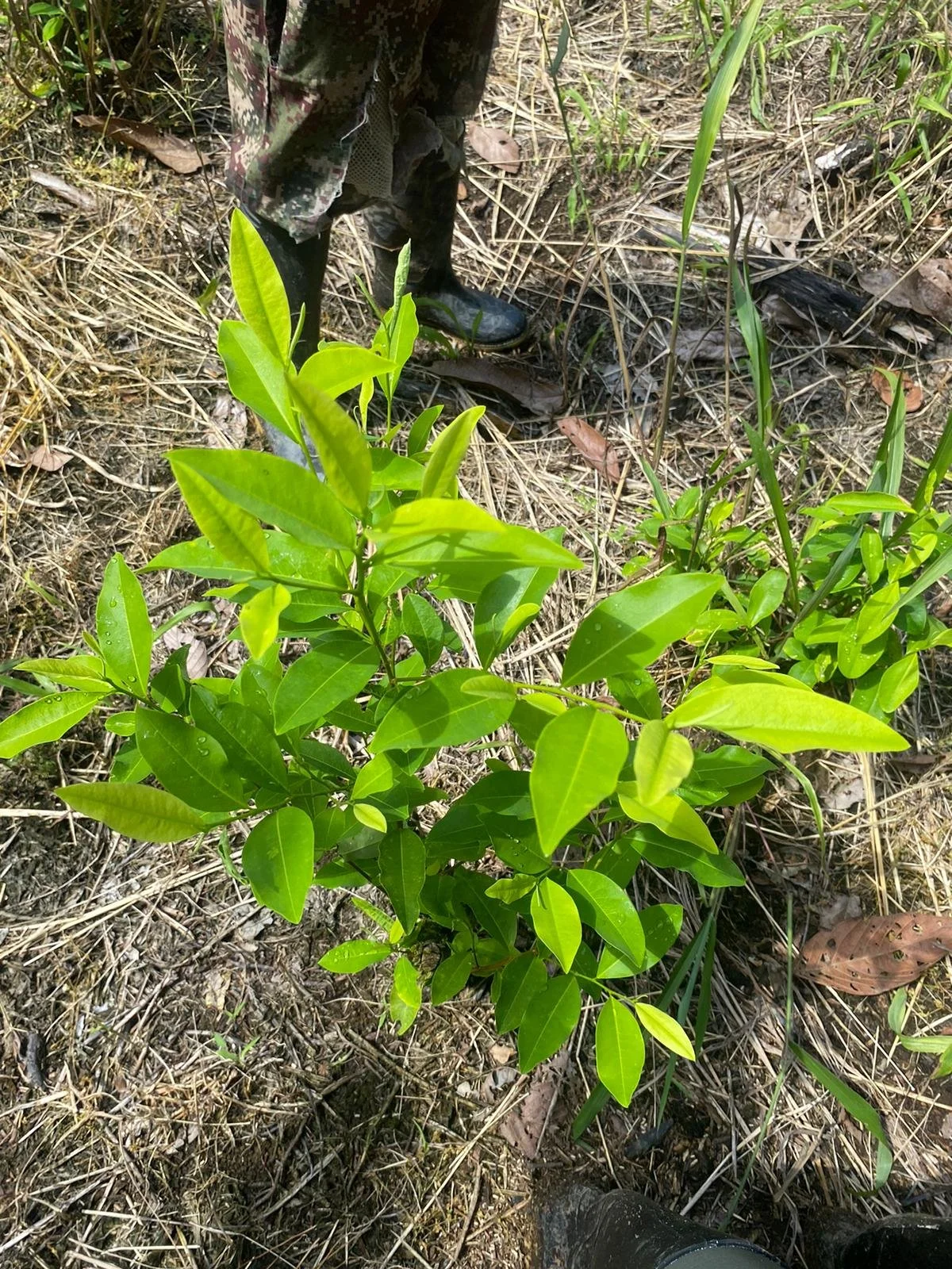 WhatsApp Image 2025-11-27 at 11.33.21 PM.jpeg