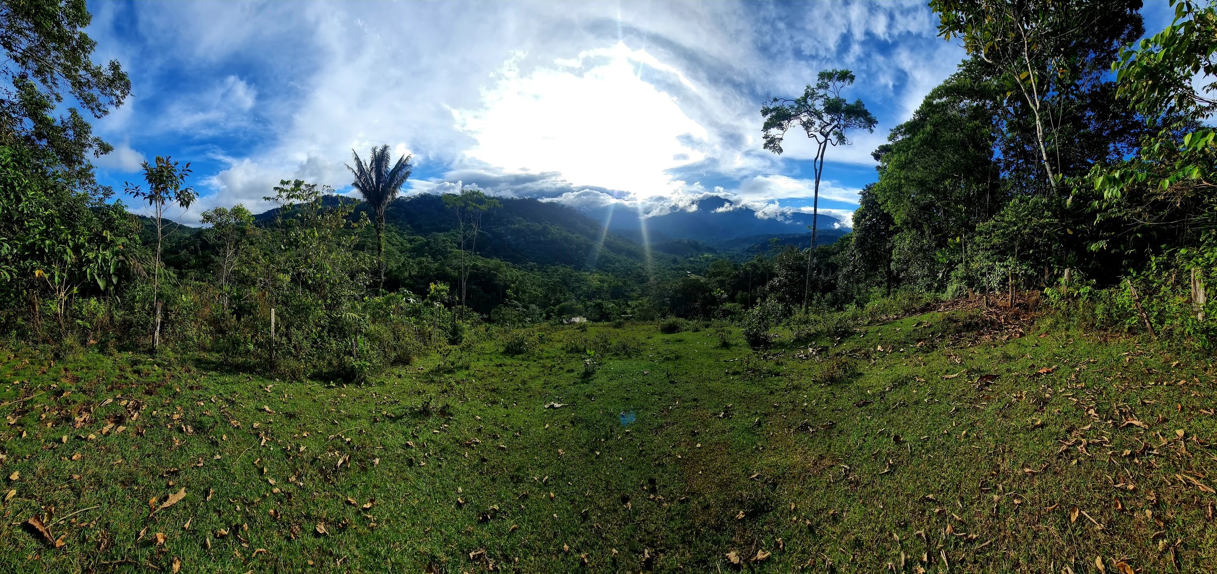 20230629_162806.jpg