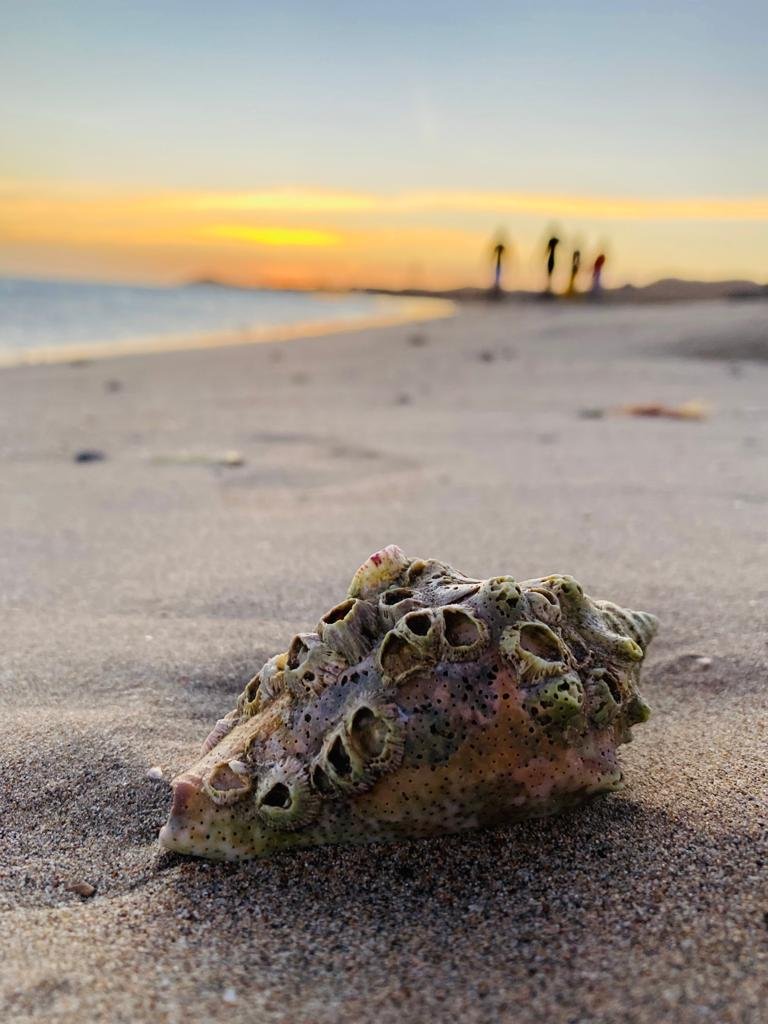 Northern Colombia, Caribbean sea, Riohacha