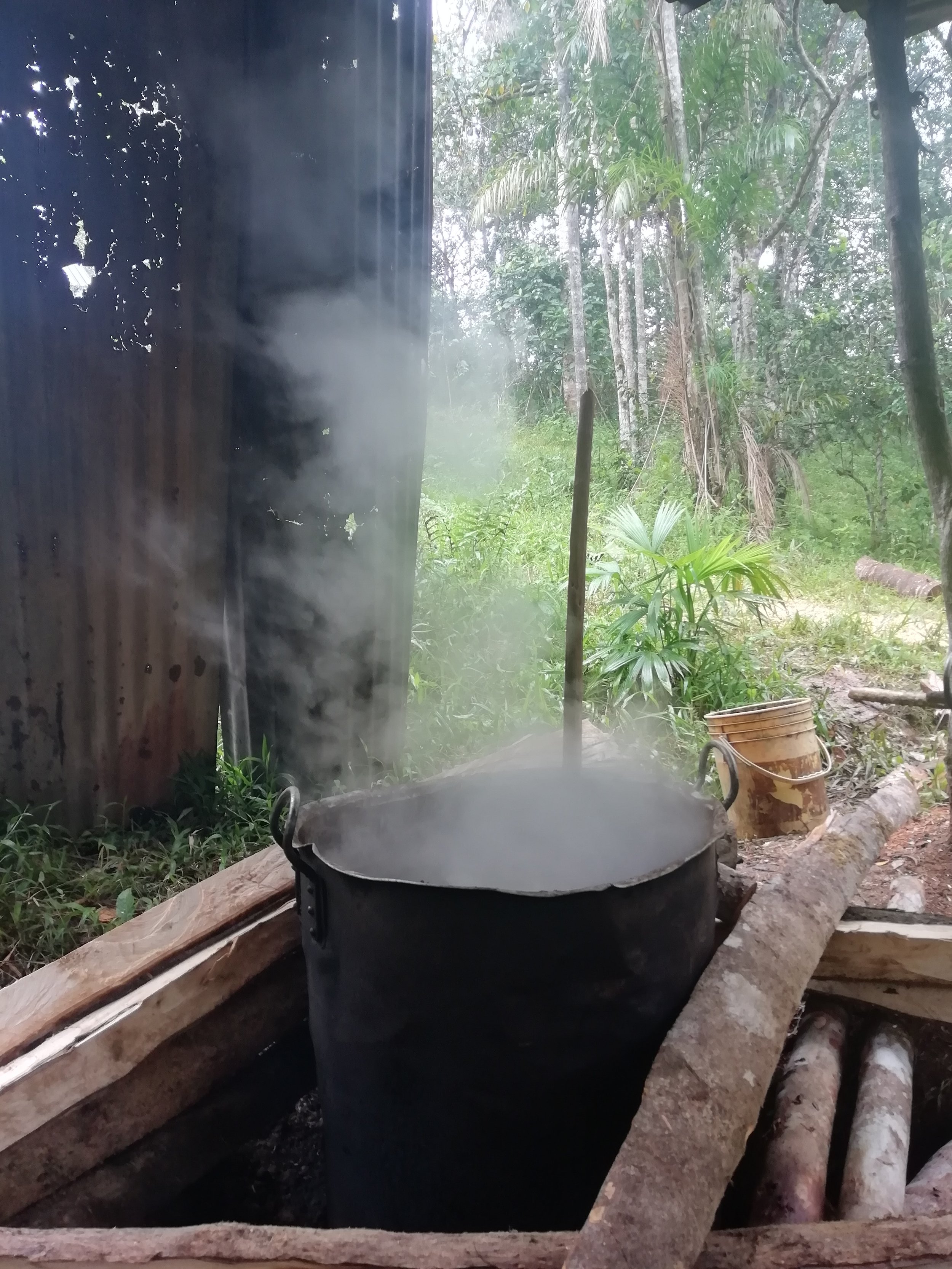 Cooking.jpg