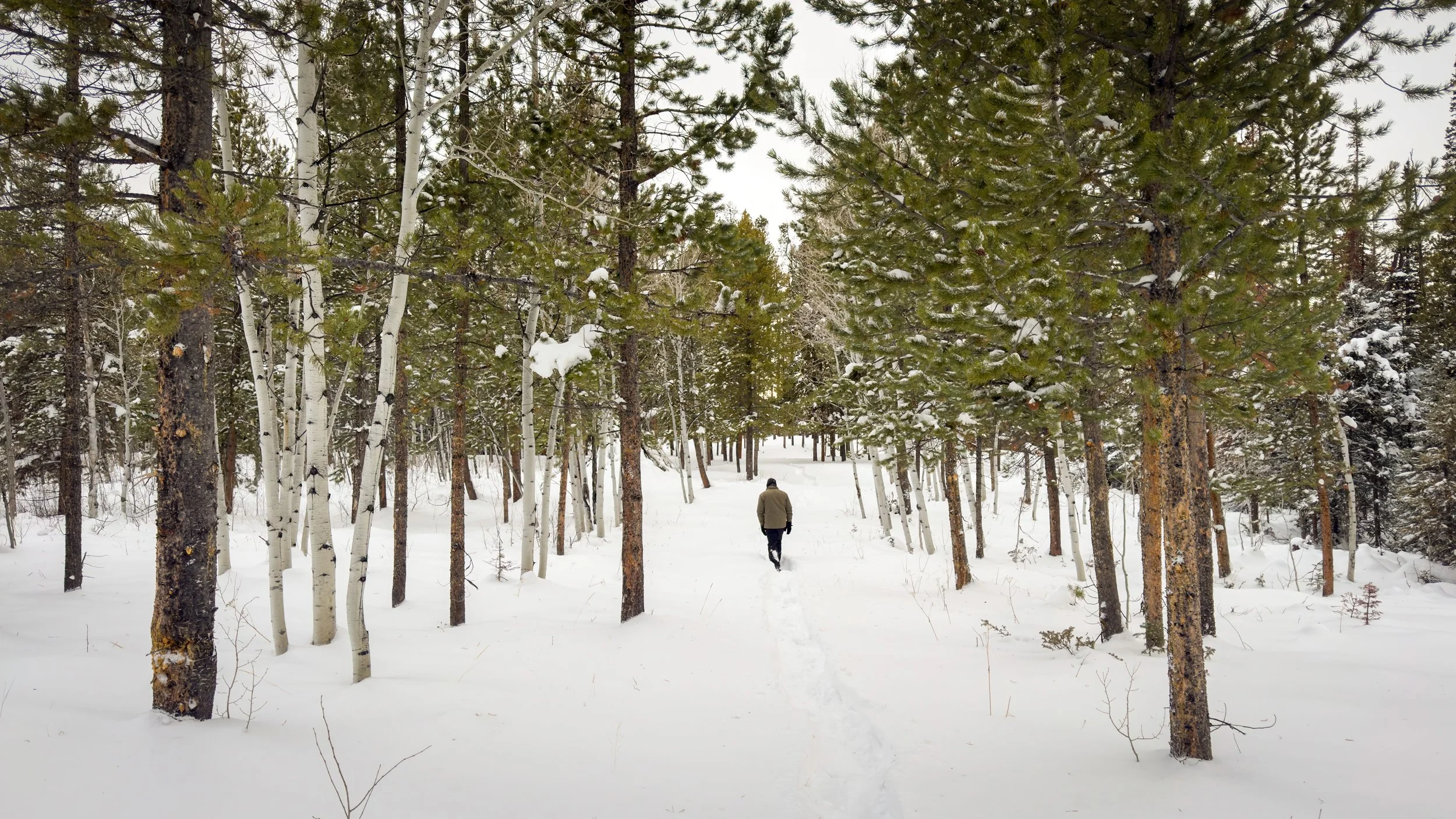 Ah Yes, Winter Has Entered the Chat.