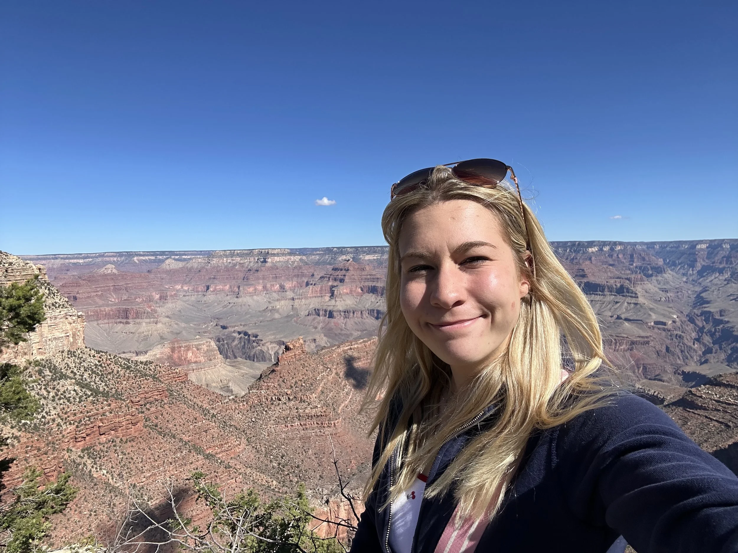 Roosevelt was right: ‘You can’t improve on it.’