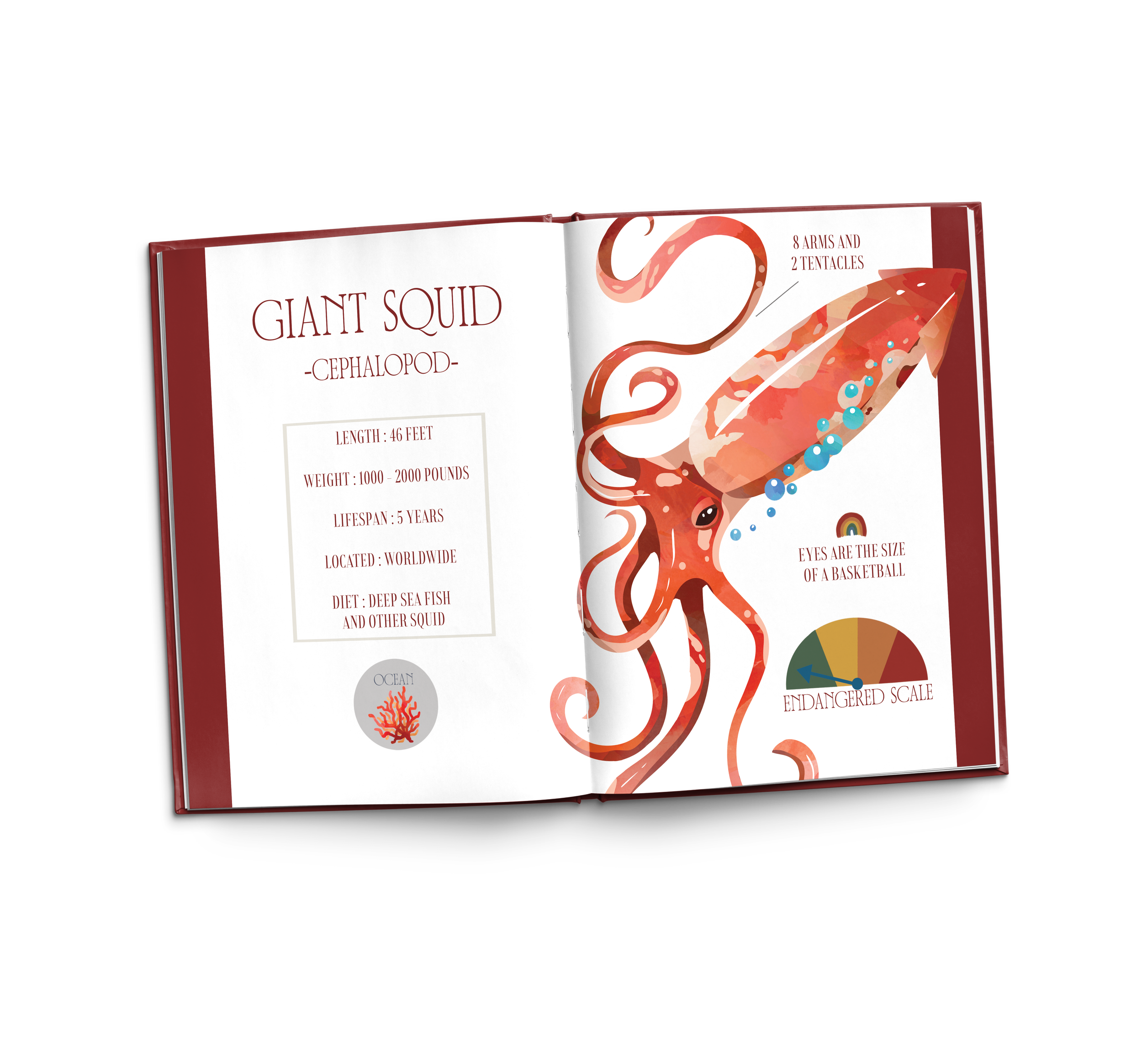 INSIDE BOOK 2 (RED).png