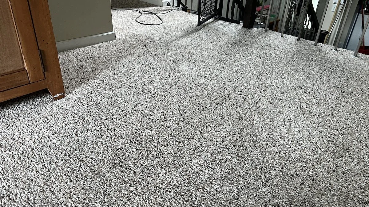 Blue Bear Carpet Care Carpet Cleaners Faribault and Owatonna