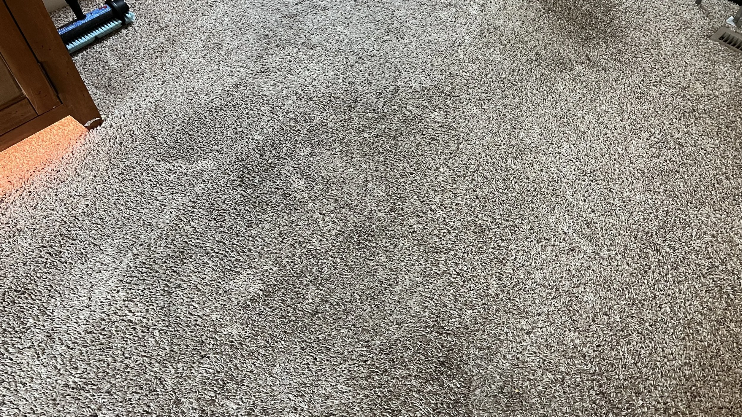 Blue Bear Carpet Care Carpet Cleaners Faribault and Owatonna