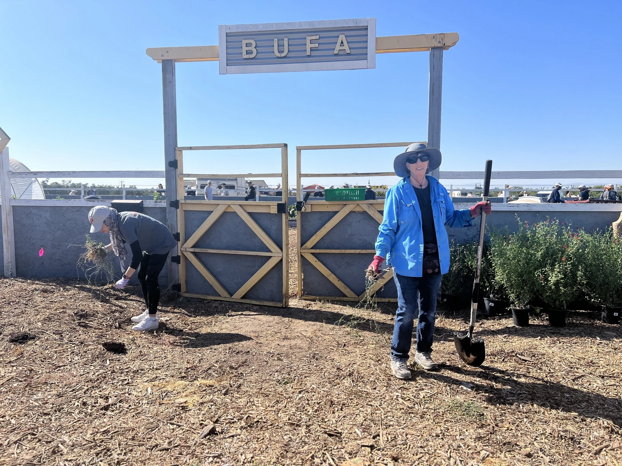 BLACK URBAN FARMERS ASSOCIATION