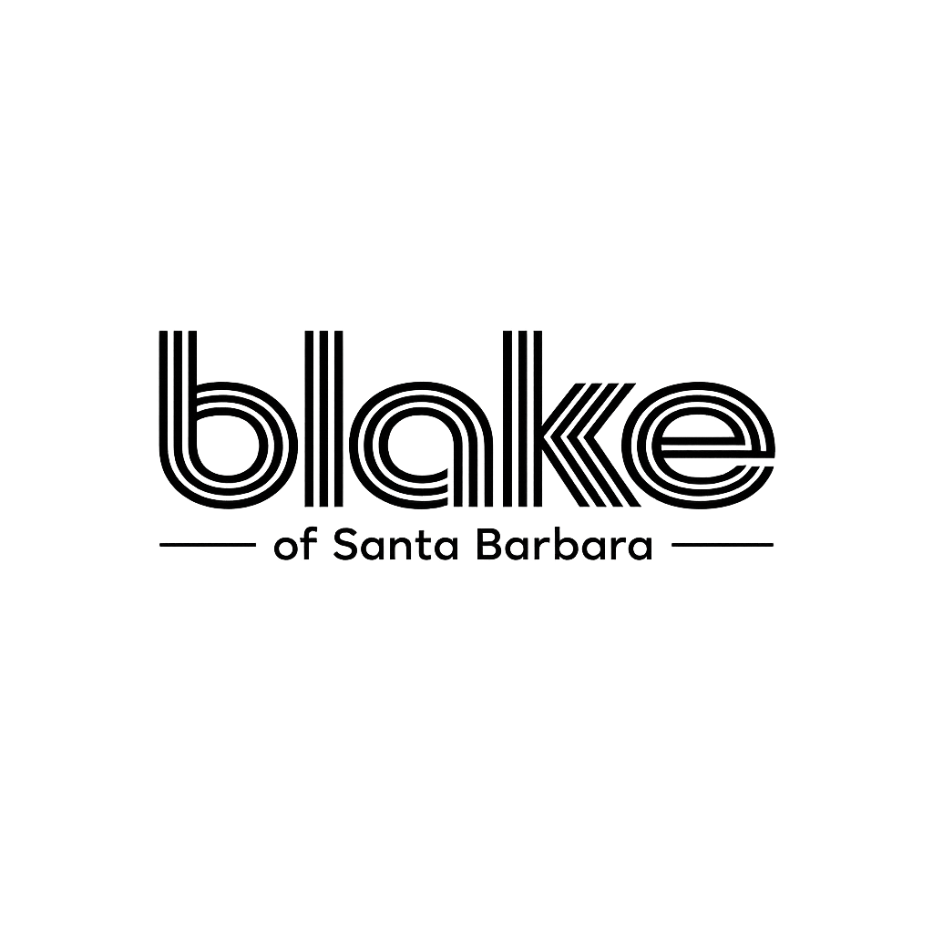 blake guitars
