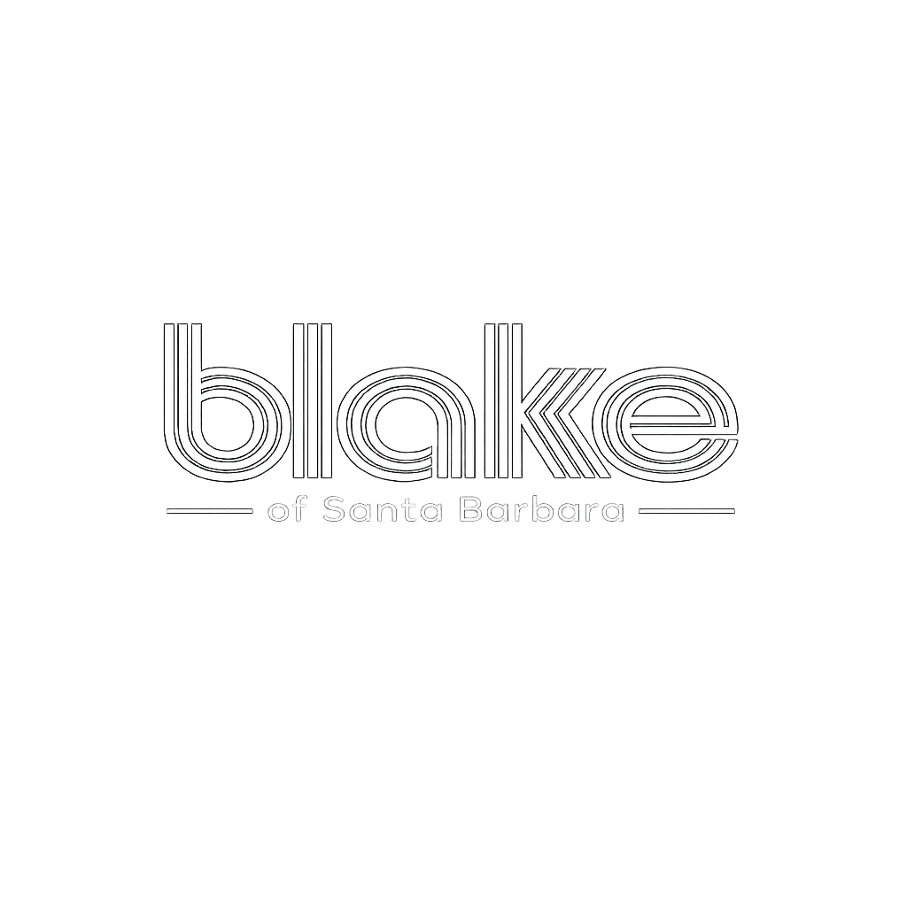 blake guitars