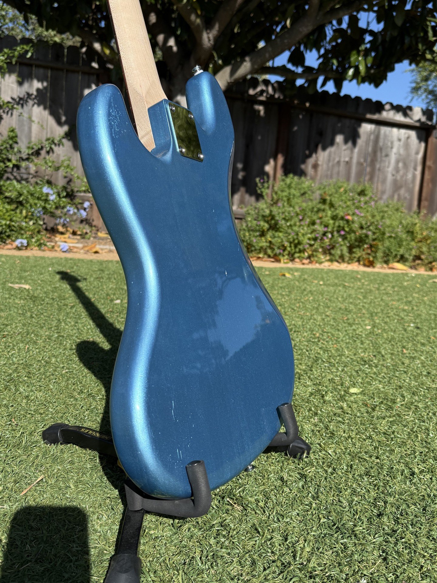 blue5.jpeg